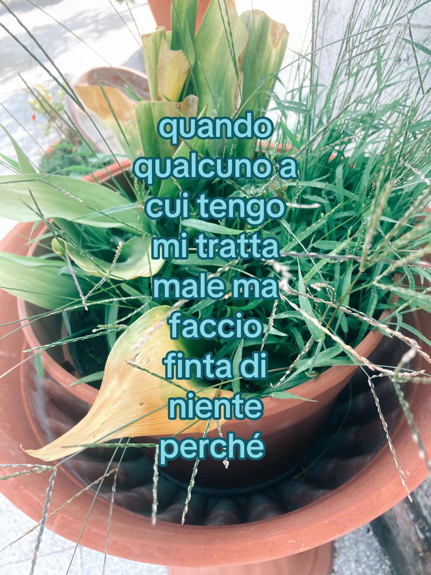 @just.4.l0s3r