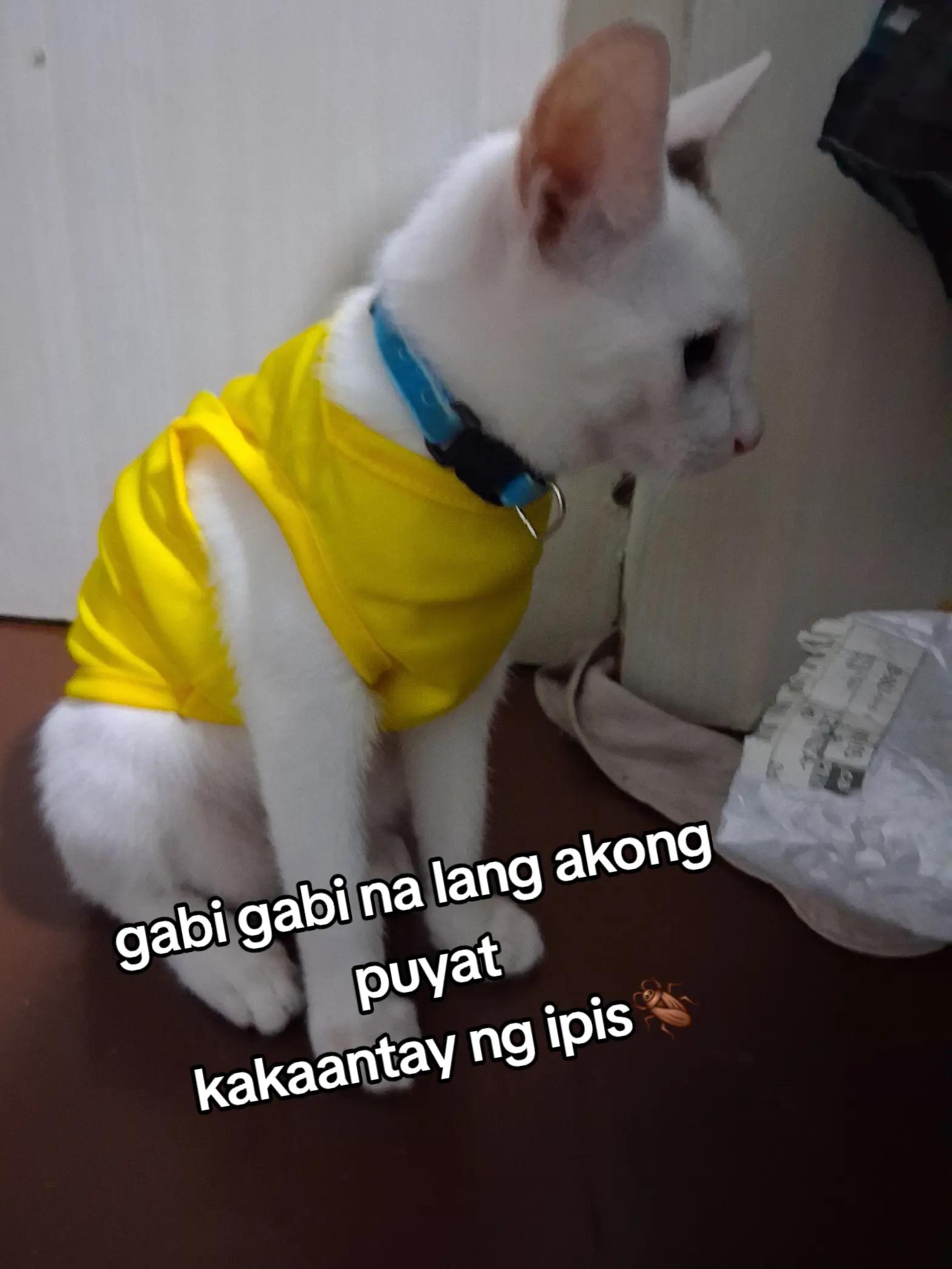 @cathl33n🤘