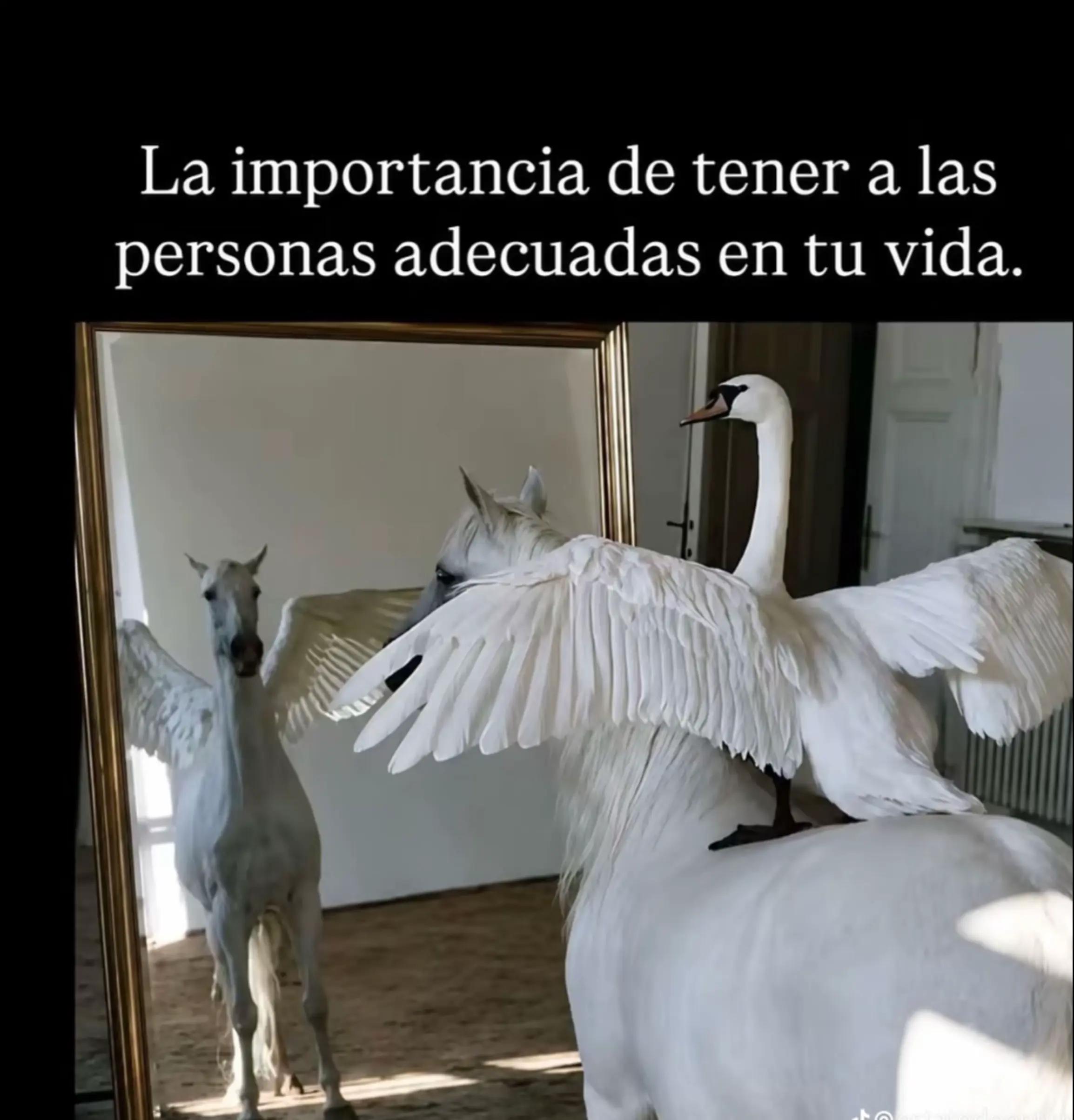 @Omaira Llevalo Xaxi