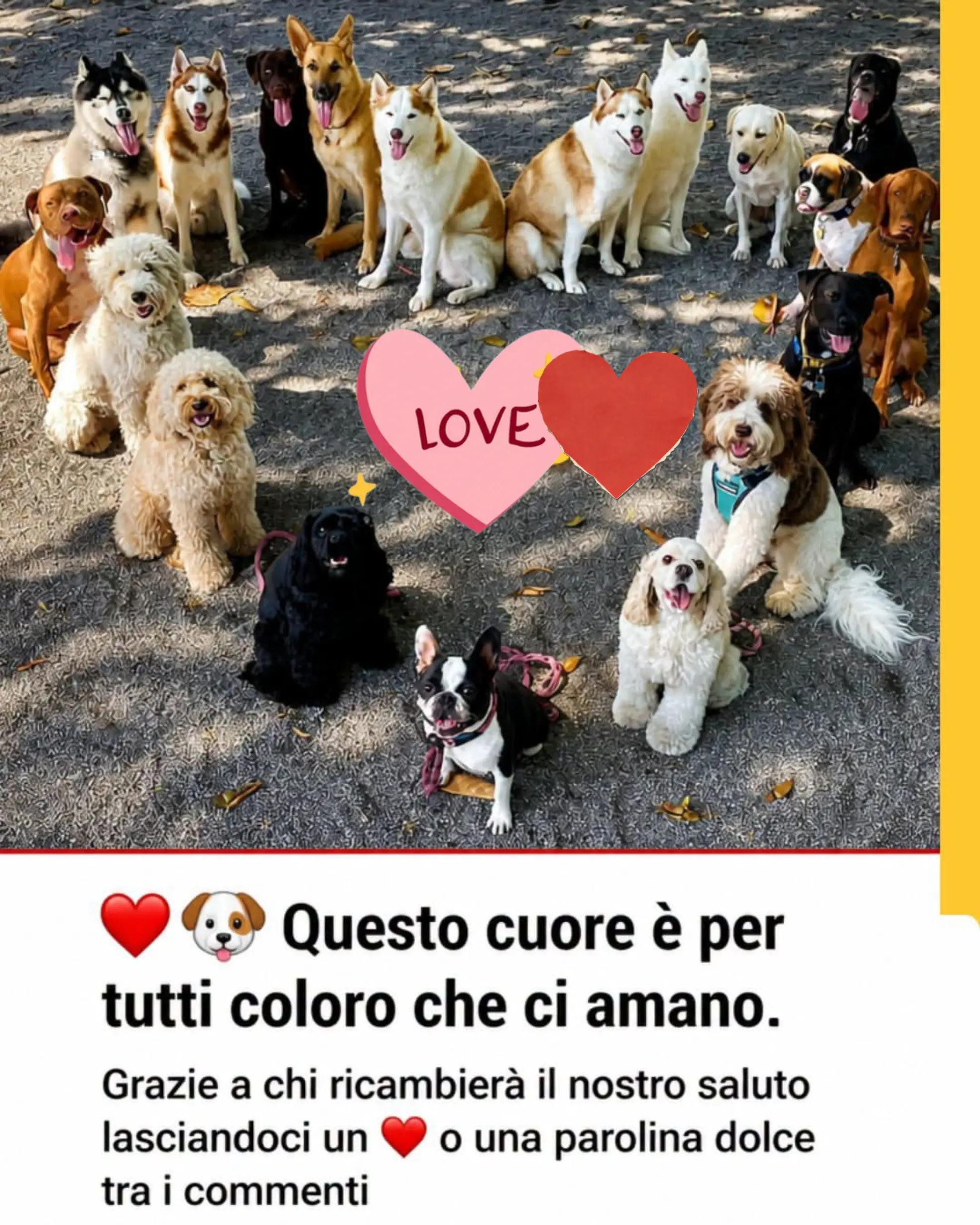 @Napoli nel cuore🩵