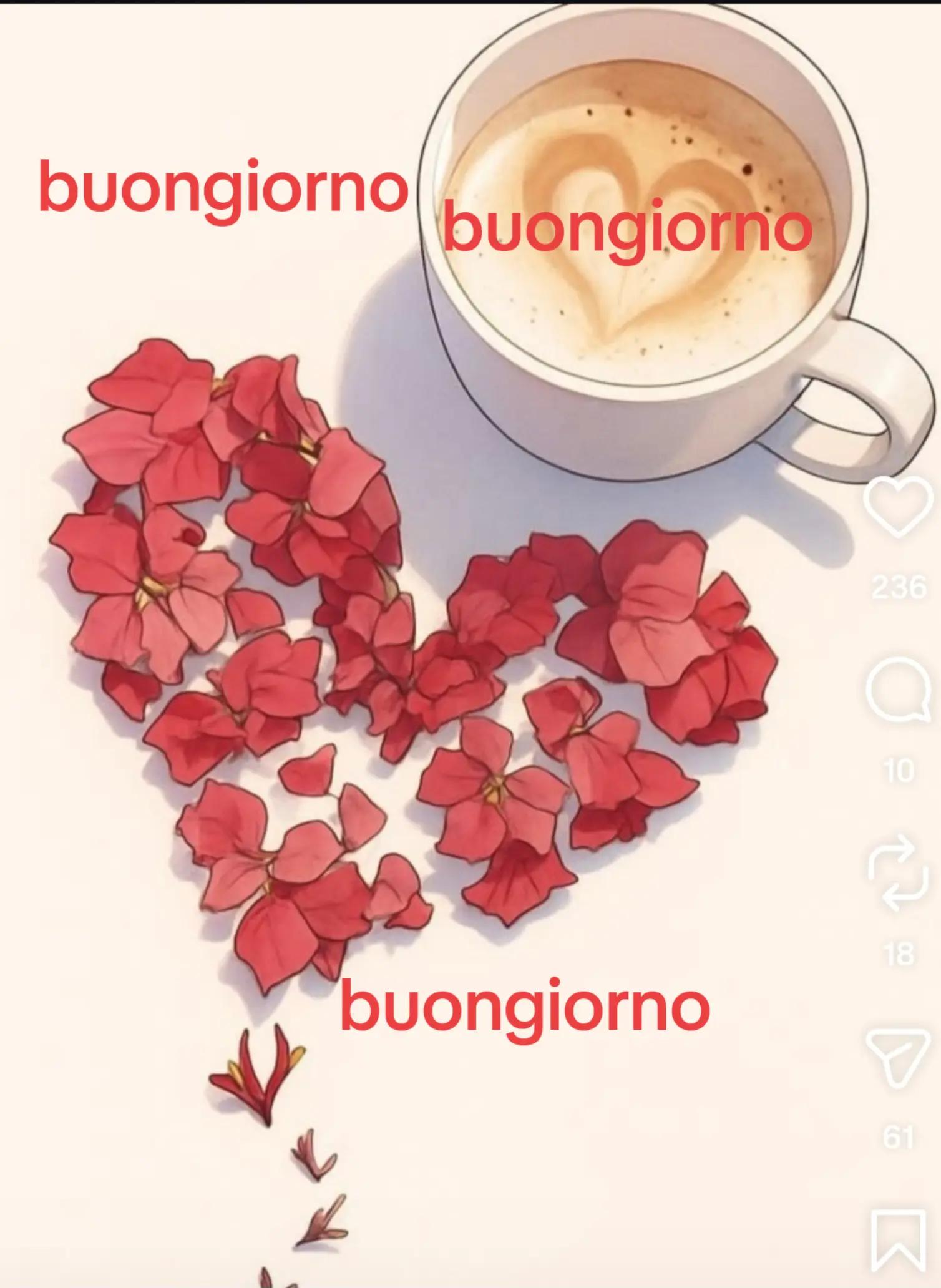 @frasi del cuore ❤️❤️❤️❤️