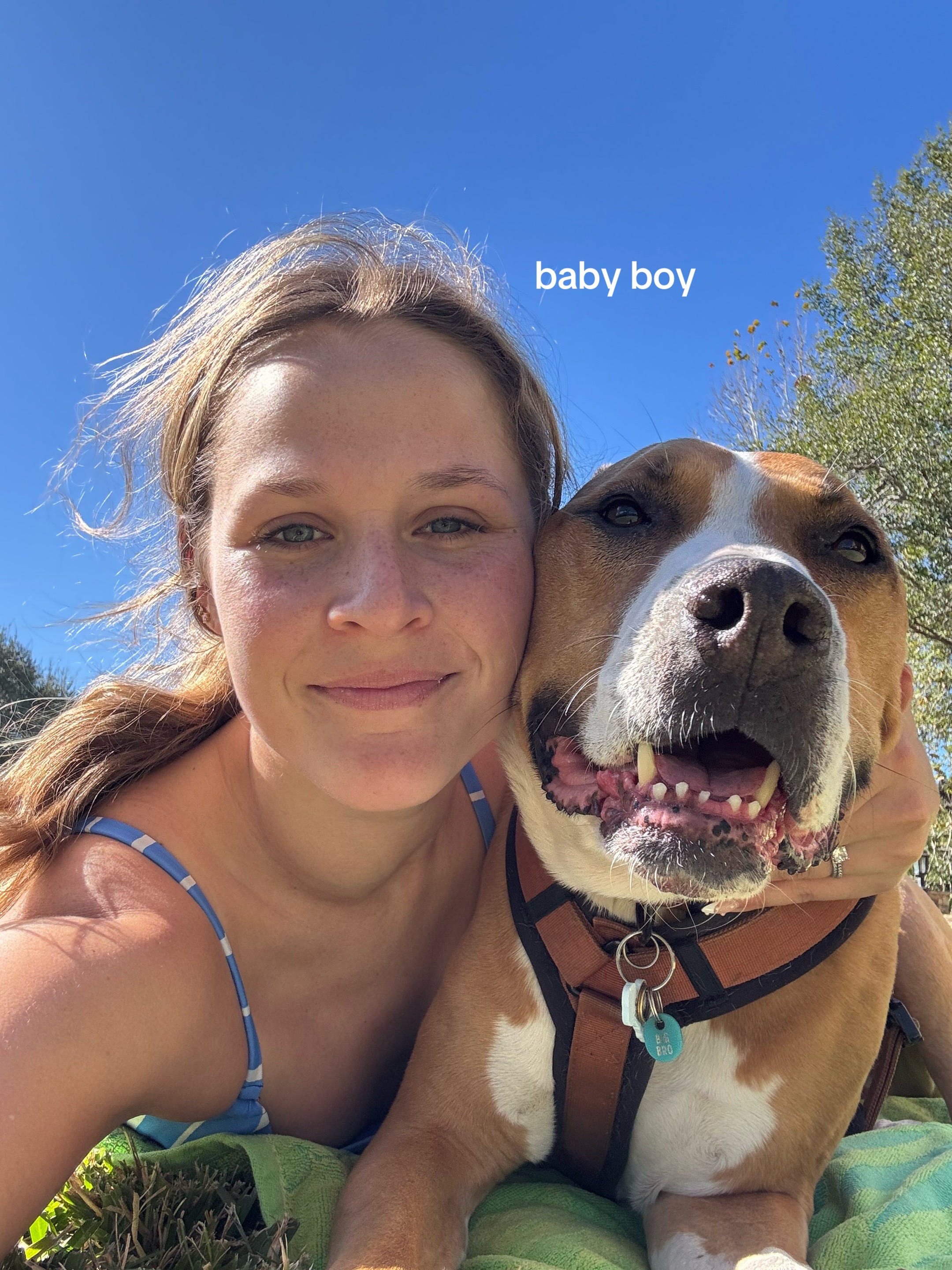 @Abby KPA-CTP | Dog Trainer