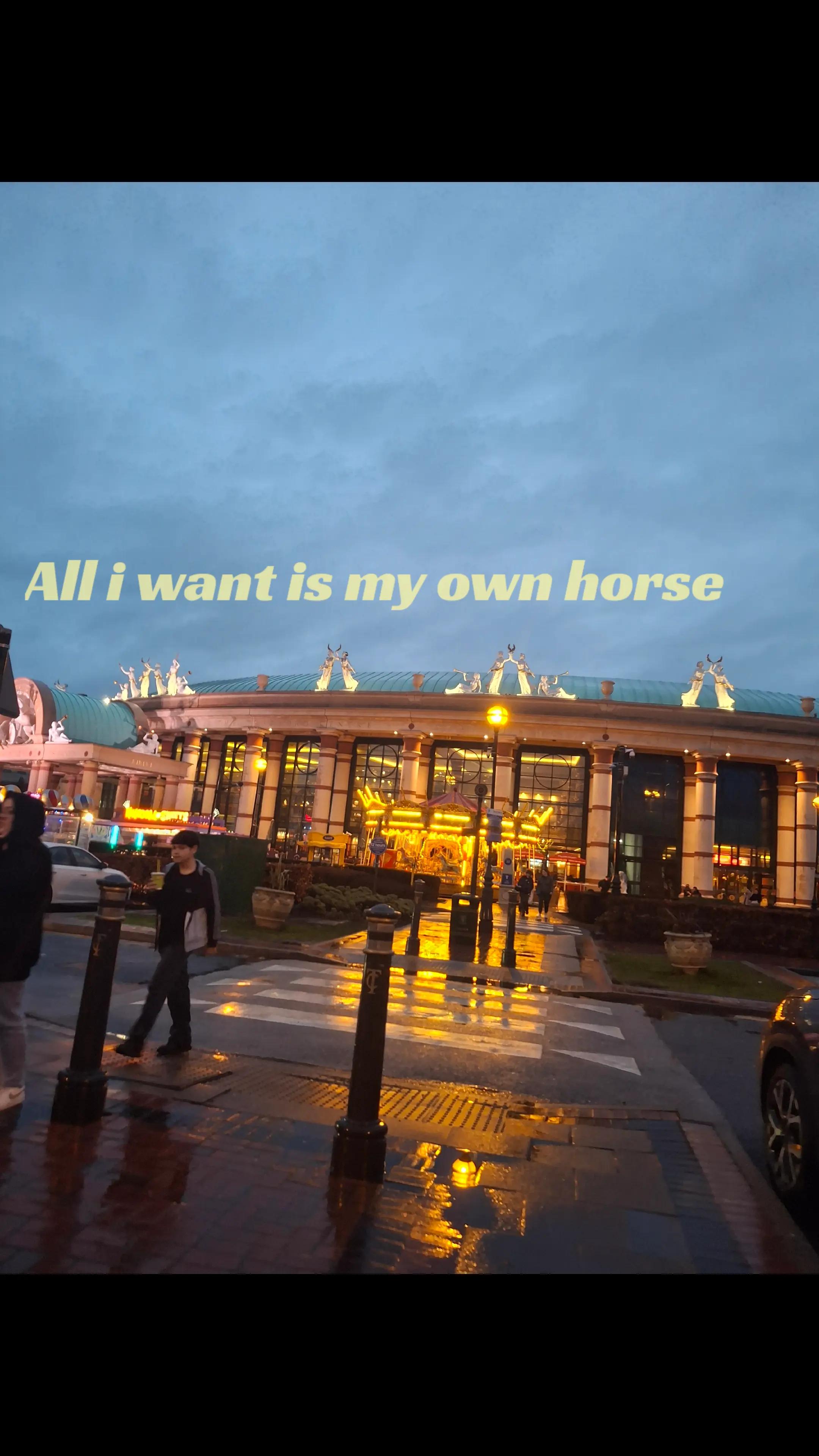 @Scarlett🐴🌾