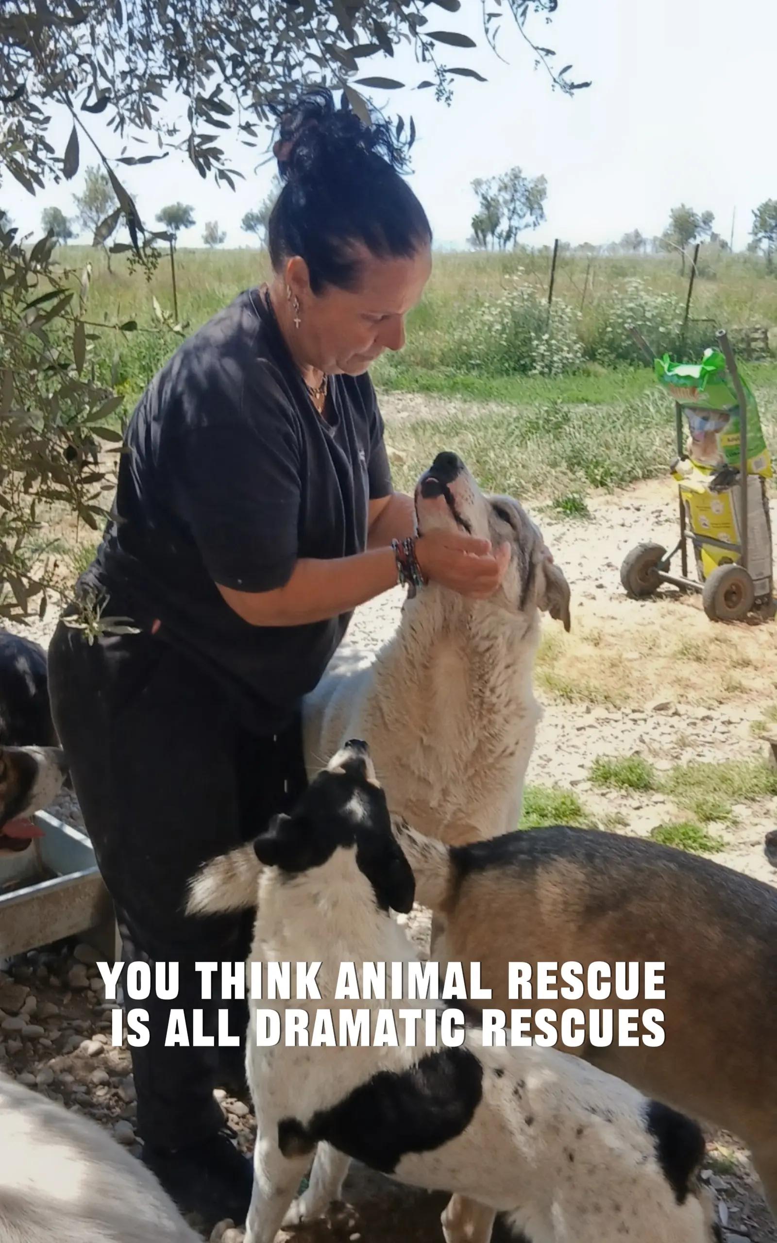 @Greek Animal Rescue