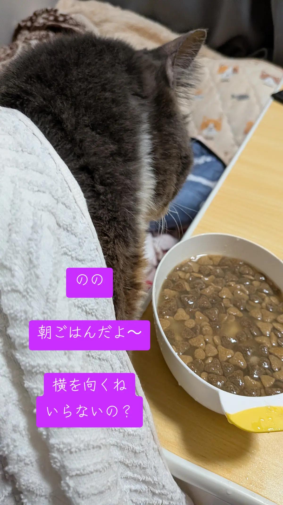 @てんきな