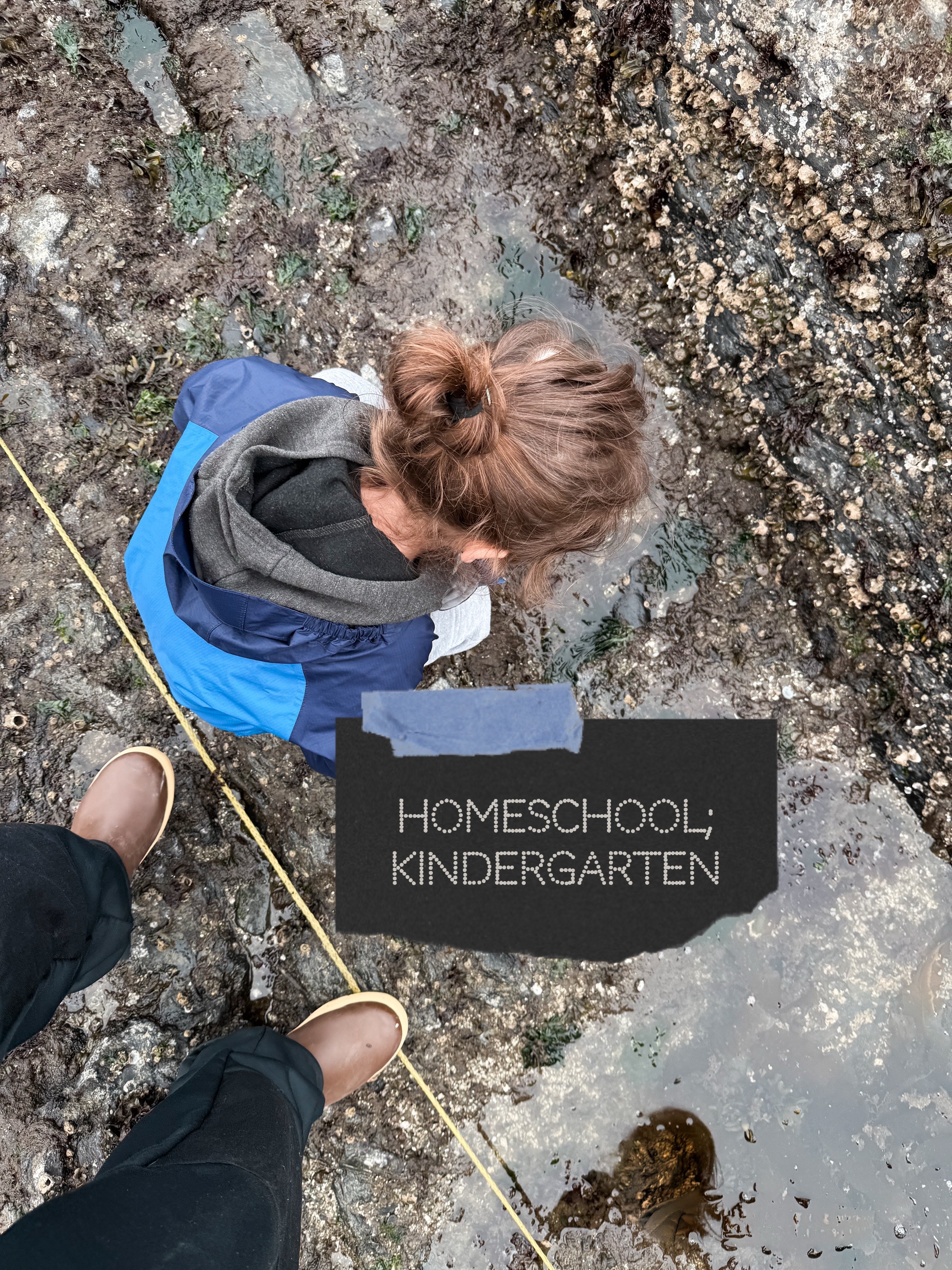 @Ashley / homeschooling mama