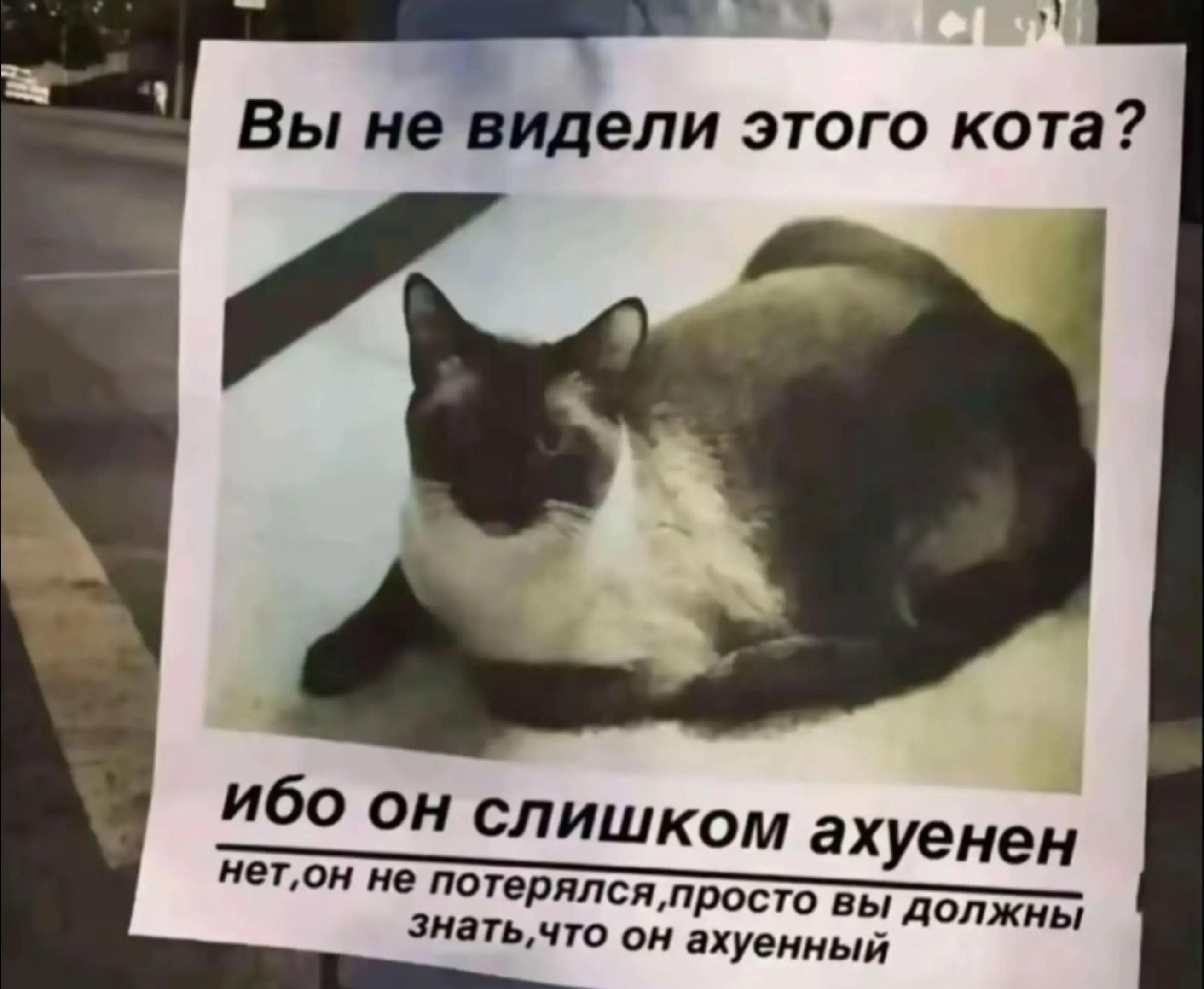 @𝐋𝐀𝐙𝐙𝐘⁽ᵃⁱᶻᵉⁿ⁾