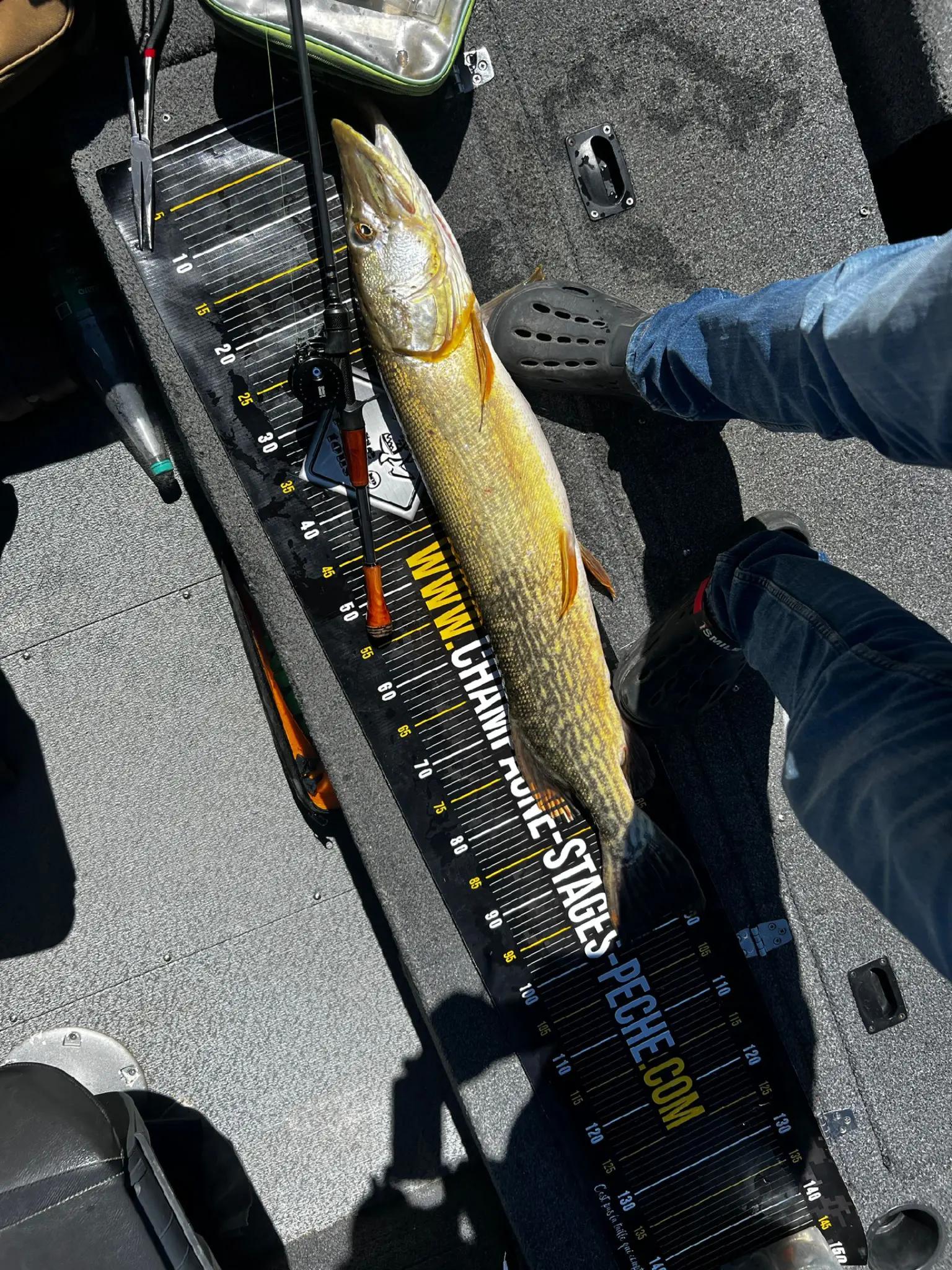 @EB FISHING EUROPE