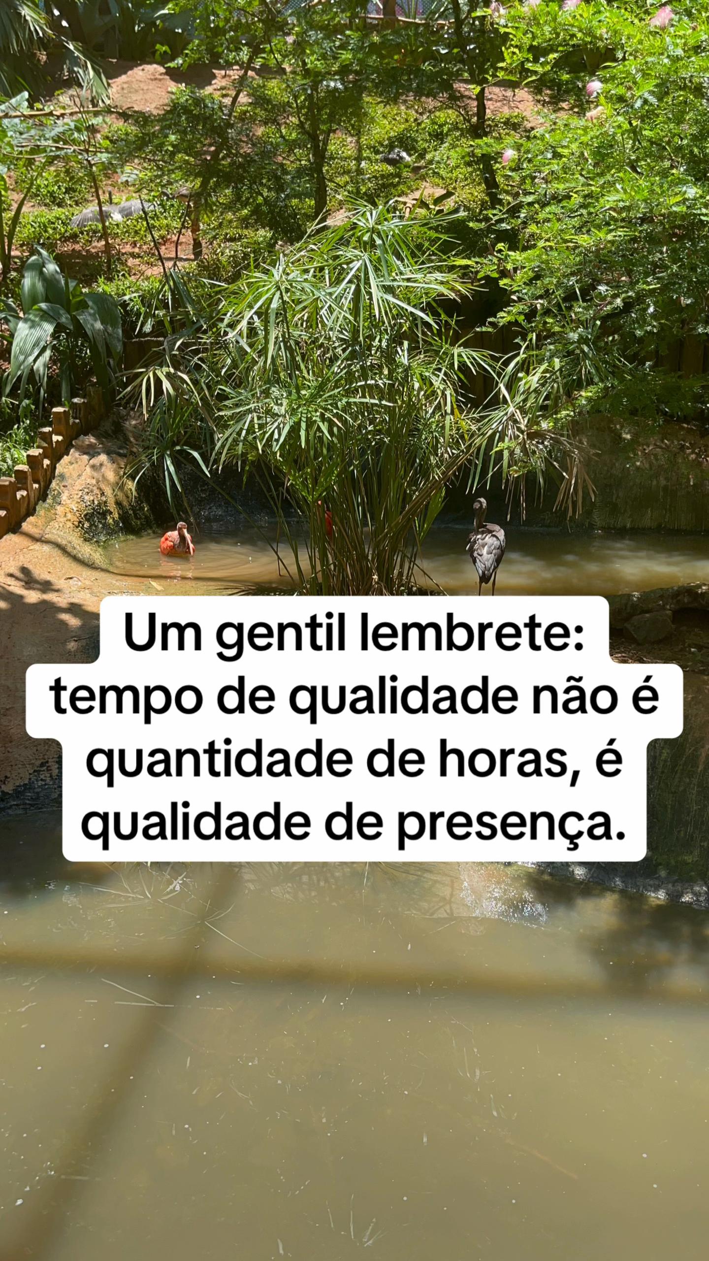 @Vanessa E. Santos | Terapeuta
