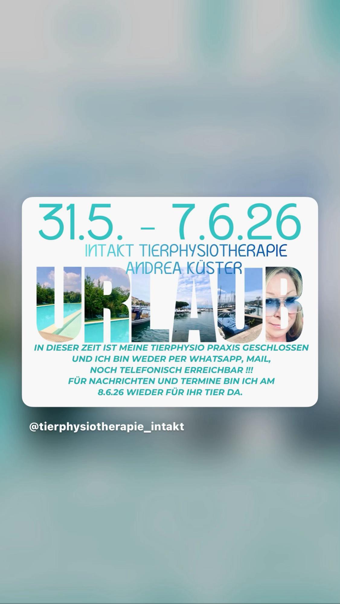 @Pferdephysiotherapie InTakt