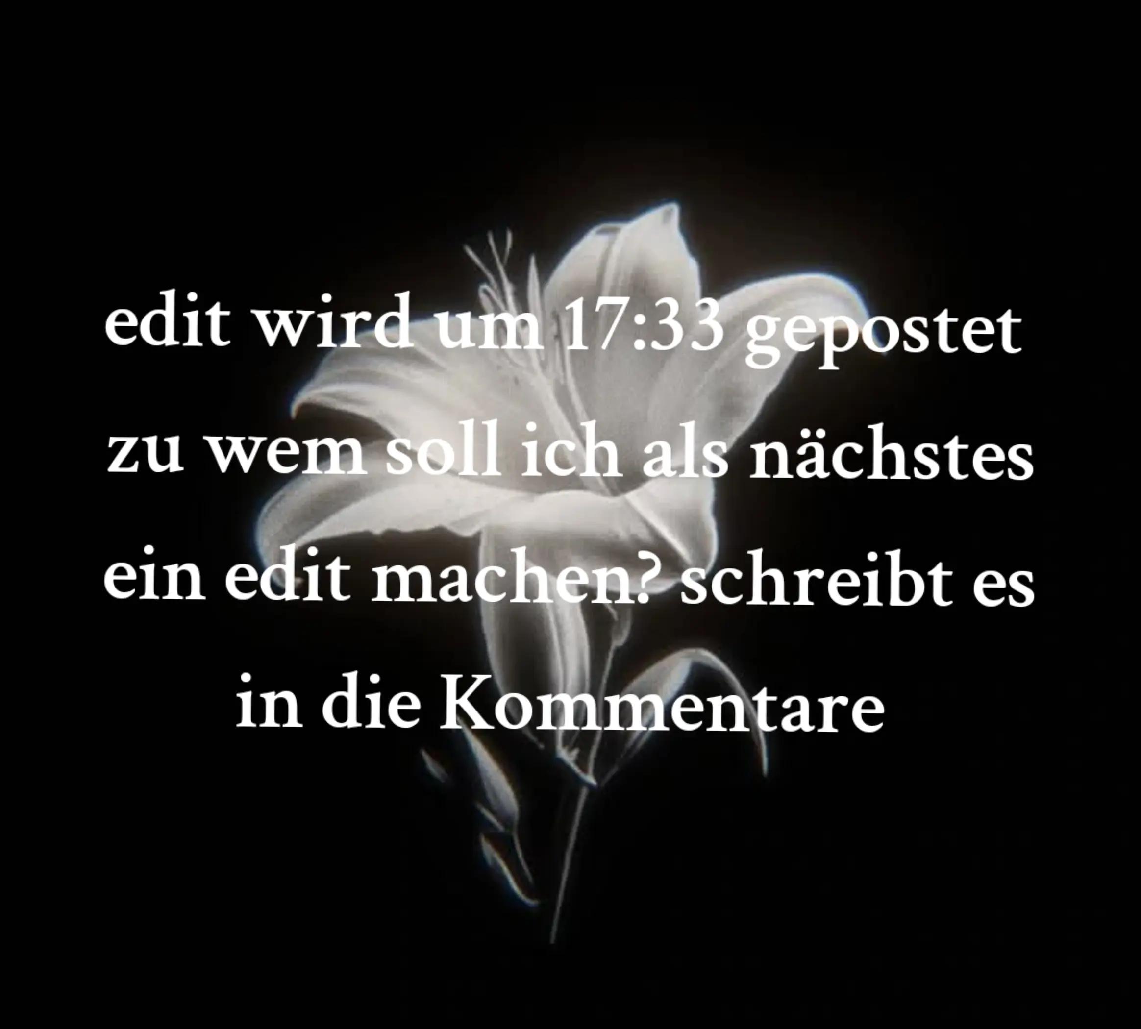 @๐๐ต๐ช๐ฝ๐ฒ๐ท ๐๐ช๐ท๐น๐ช๐ฐ๐ฎ