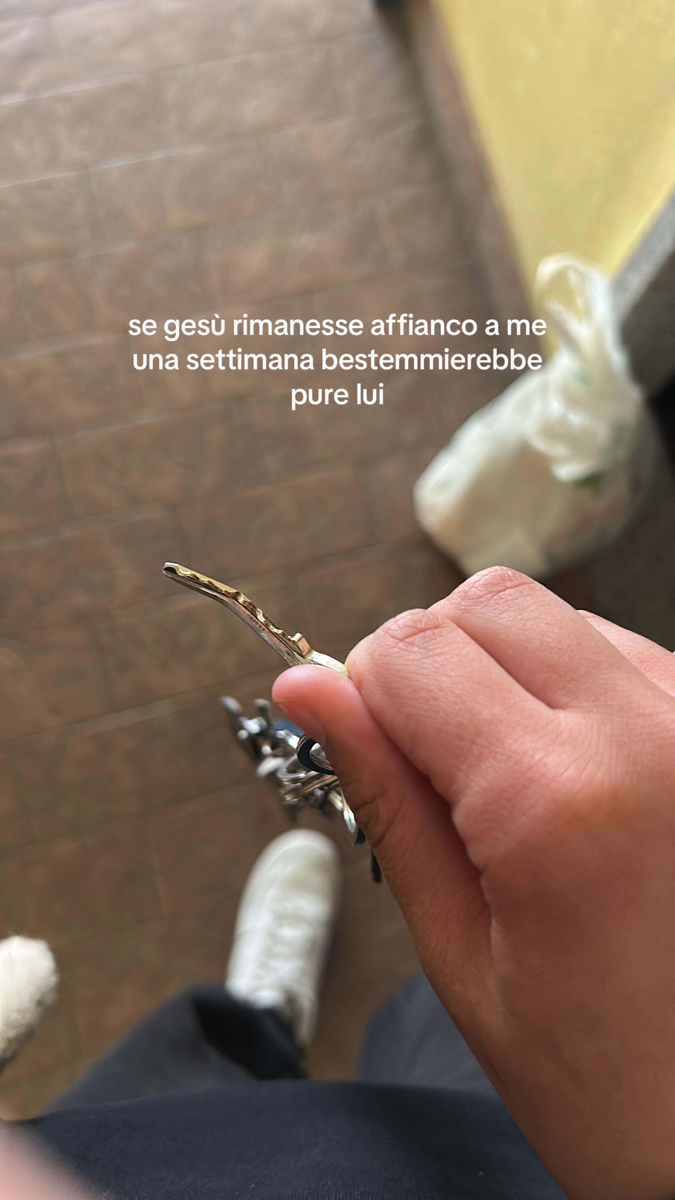 @sofiaforlani