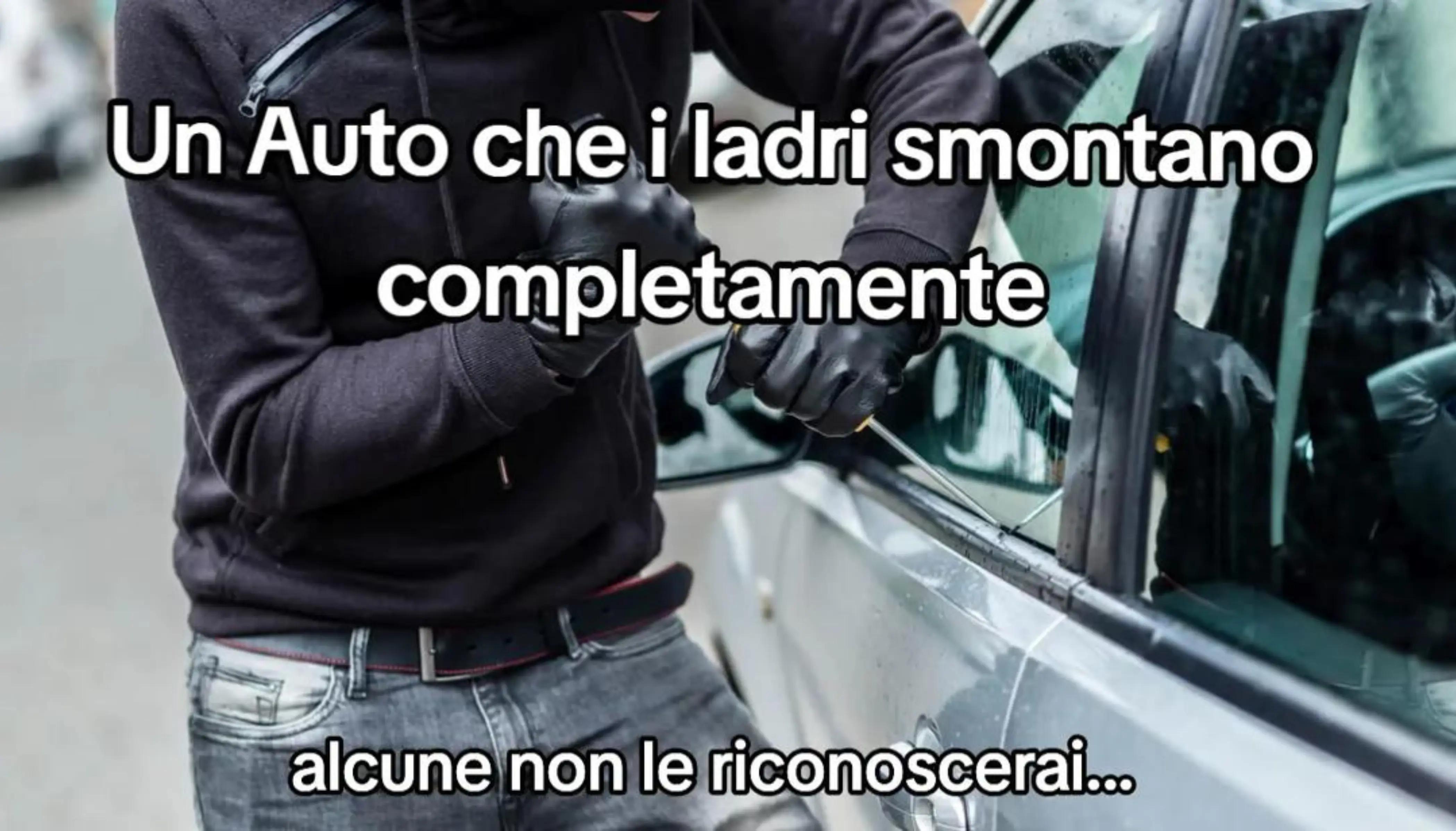 @ITselfMotor