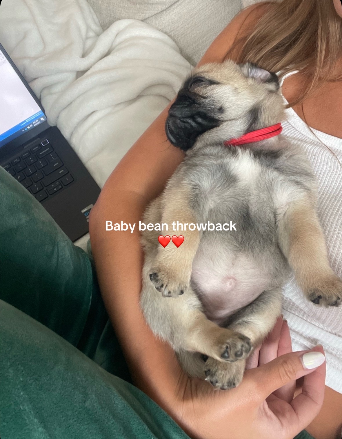 @PUGNAROUND