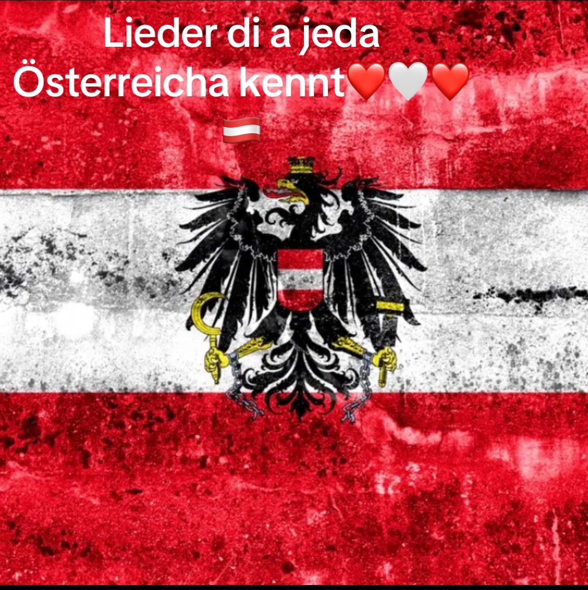 @Team_Austria_1🇦🇹
