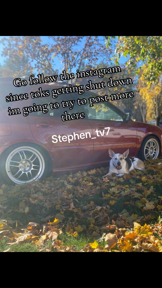 @Stvephen📺
