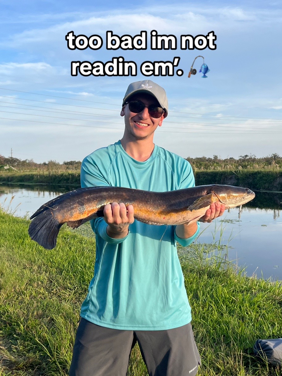 @Fish The East