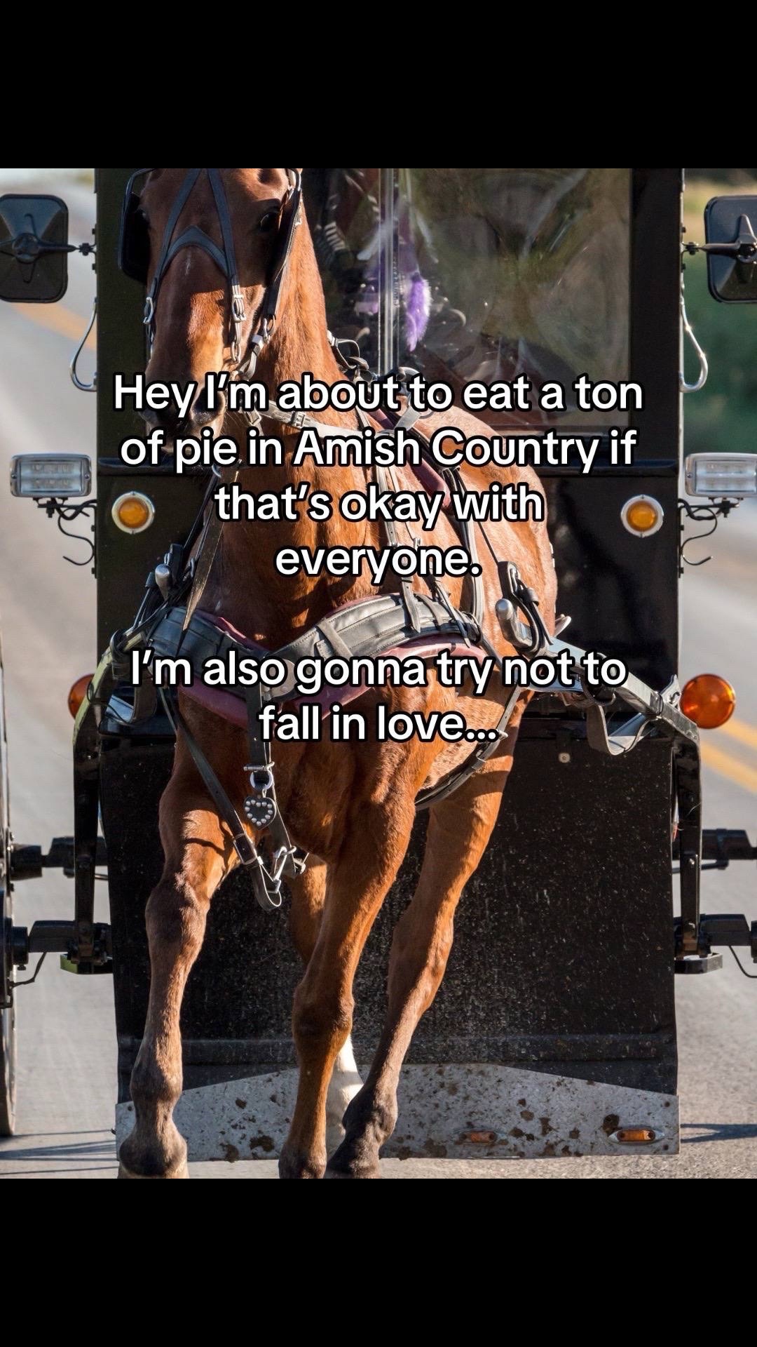 @amish.romance.reads