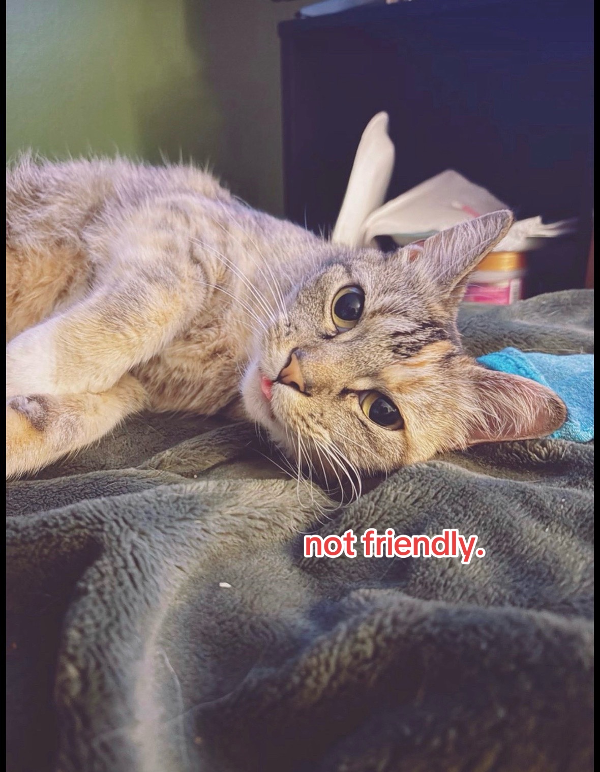 @⋆.ೃ࿔*:・🍒