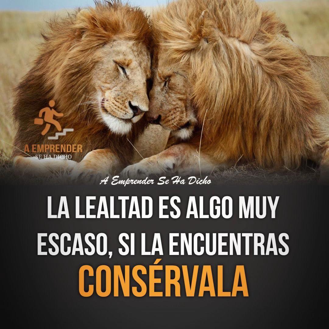 @Luzdedios8888