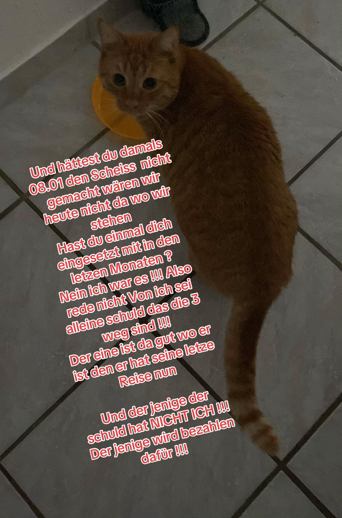 @๐ฅ๐๐ป๐๐ด๐๐ท๐๐๐๐๐ฒ๐ก๐ฒ๐ฅ