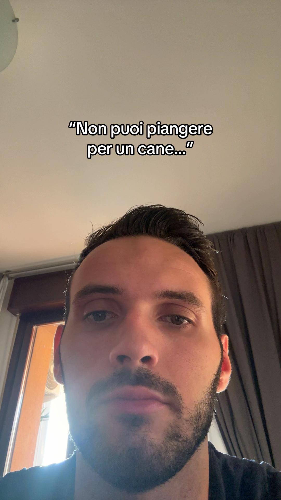 @francescobaccegareal