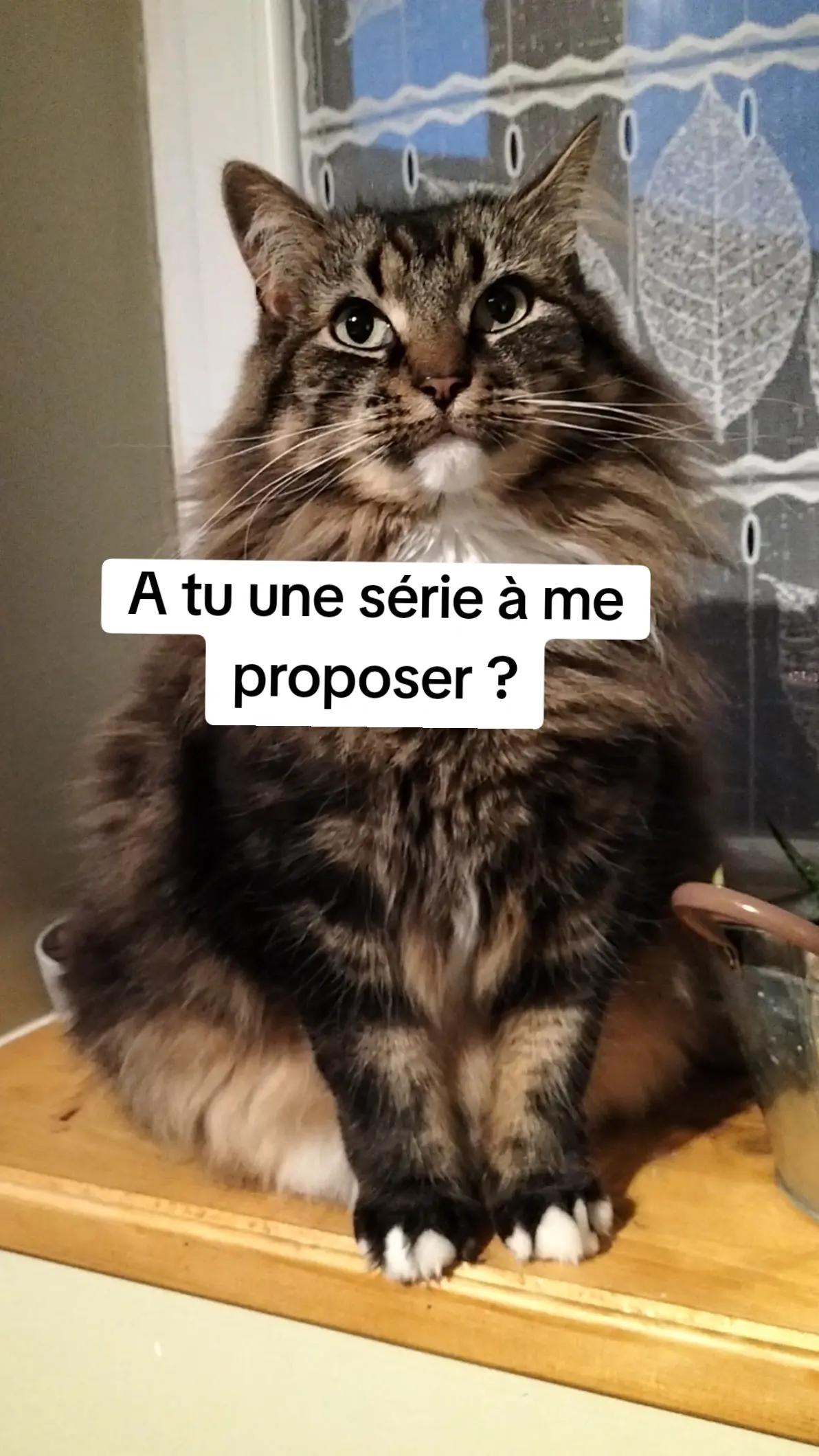 @canardeswc