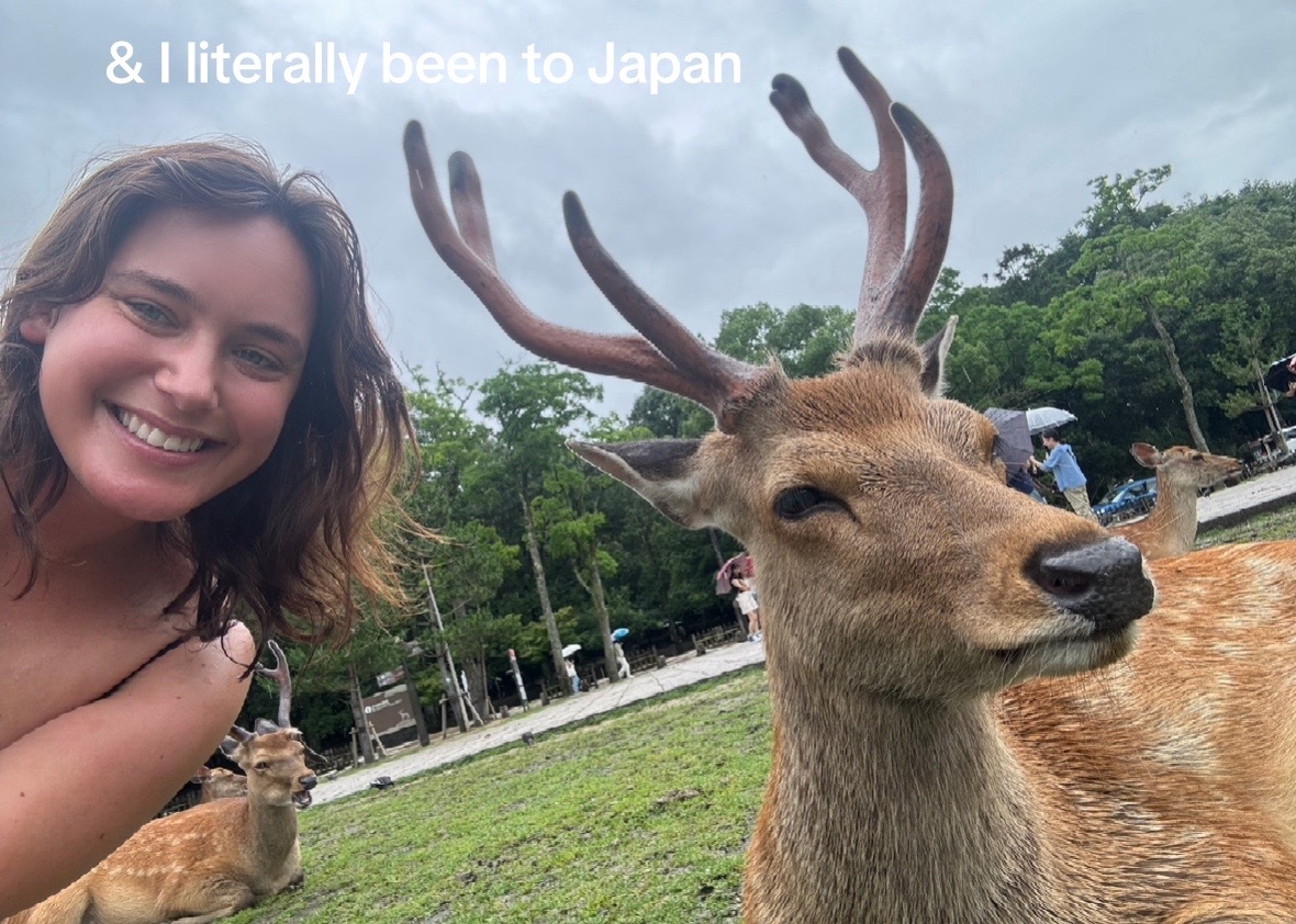 @fia ⋆˚꩜。