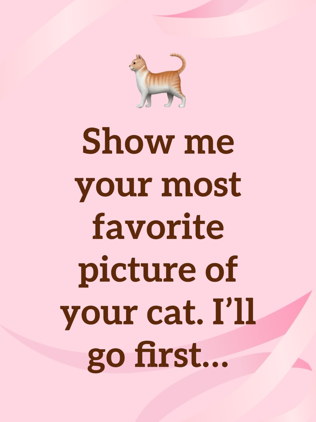 @catlover313official