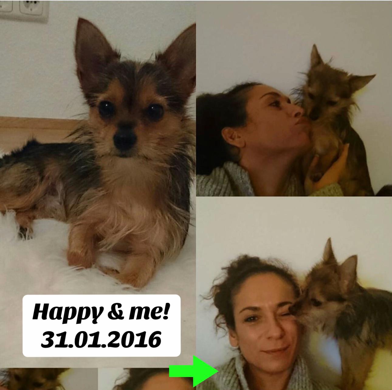 @Peri&lsquo;s Streunerliebe