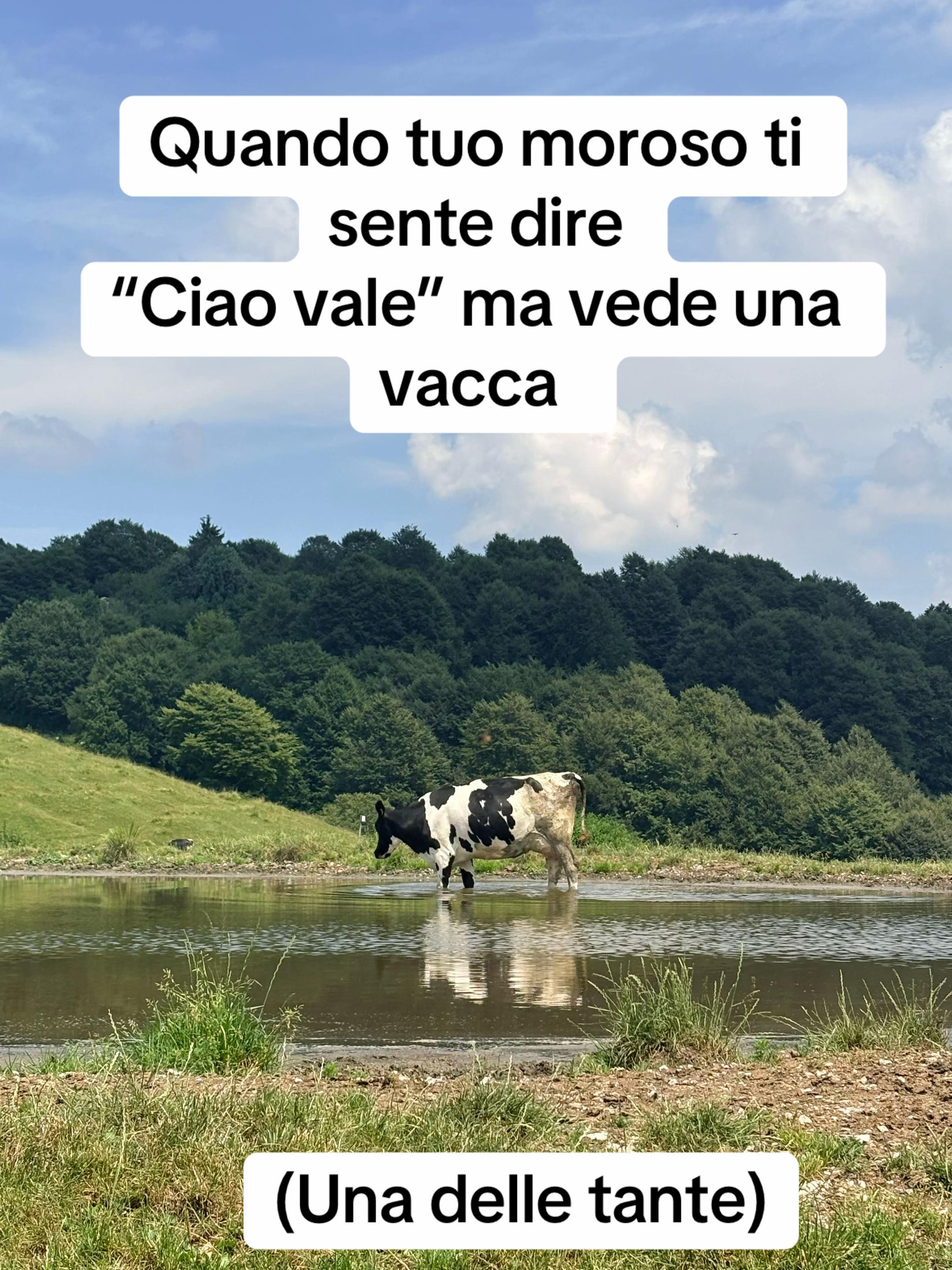 @Verobazzi