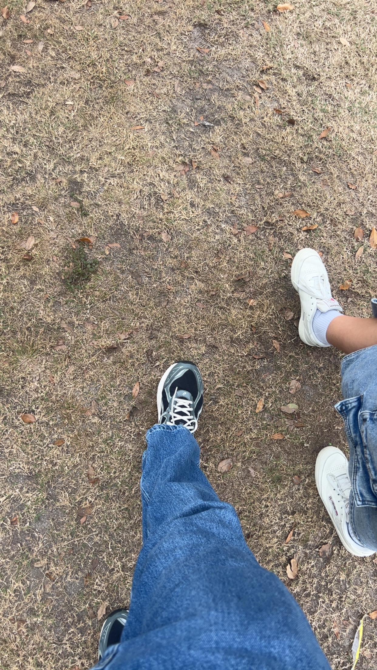 @kalelbeenspendin
