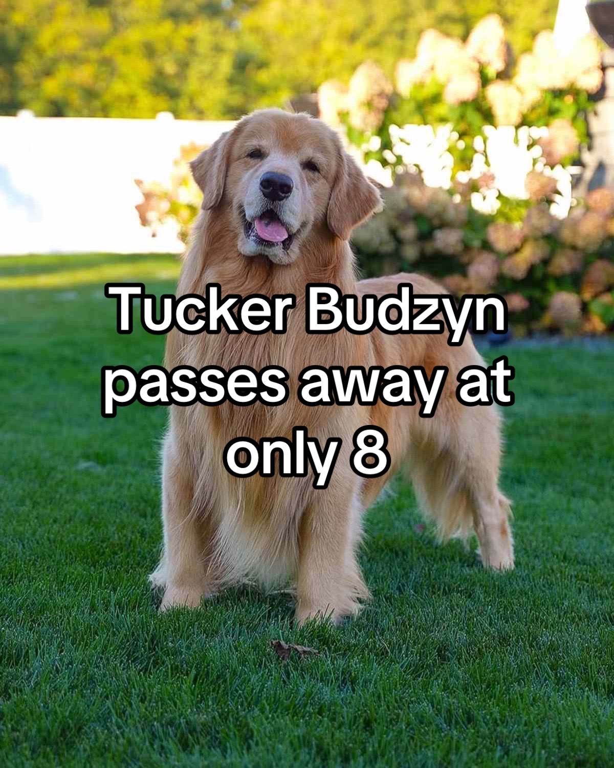 @CushOnTikTok