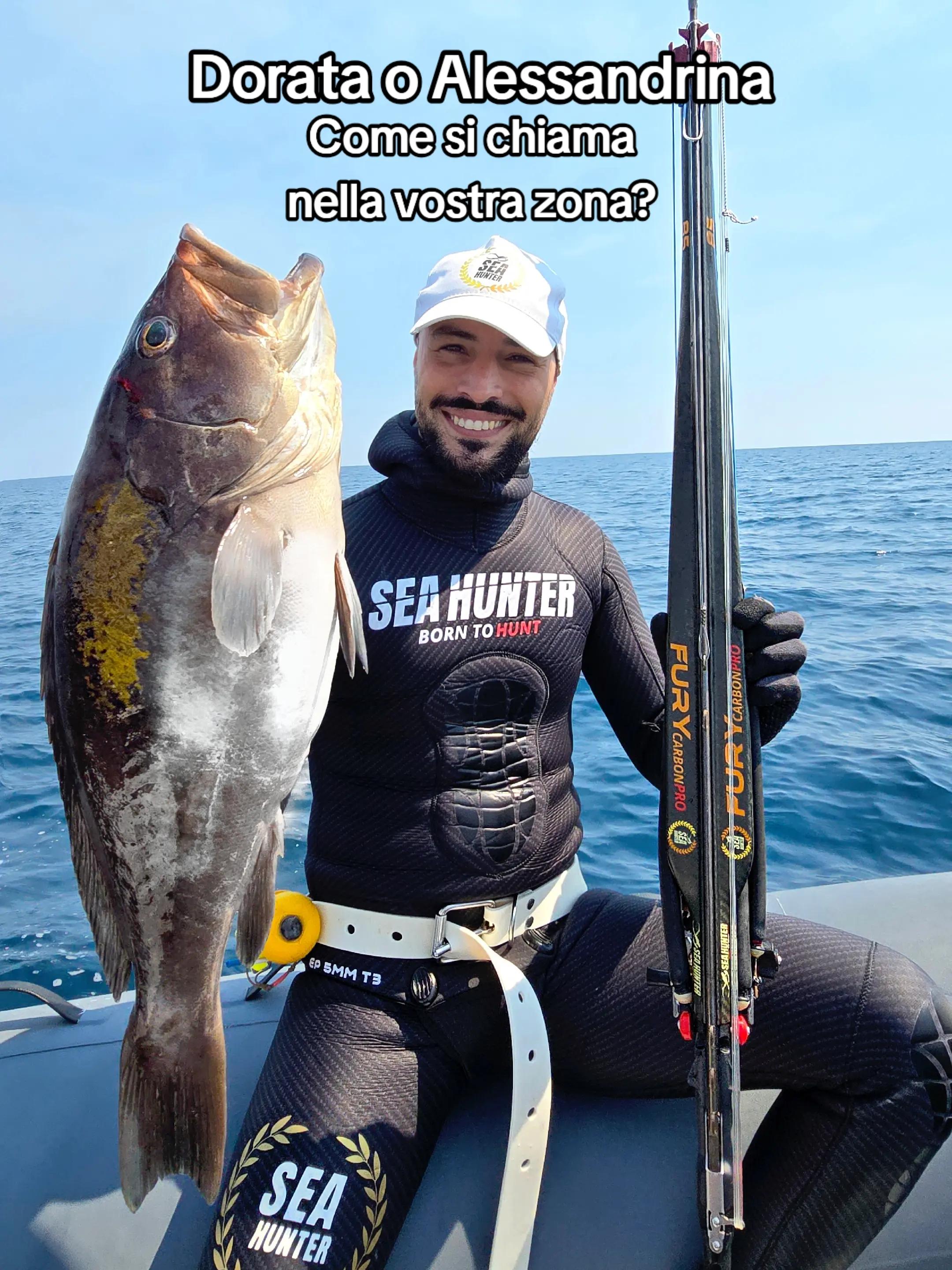 @SeaHunter.Italia