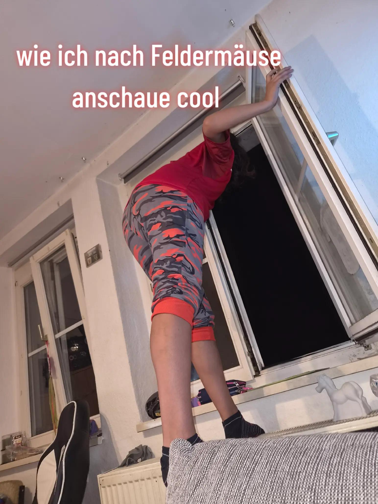 @Jenny Werner 29.03.2016
