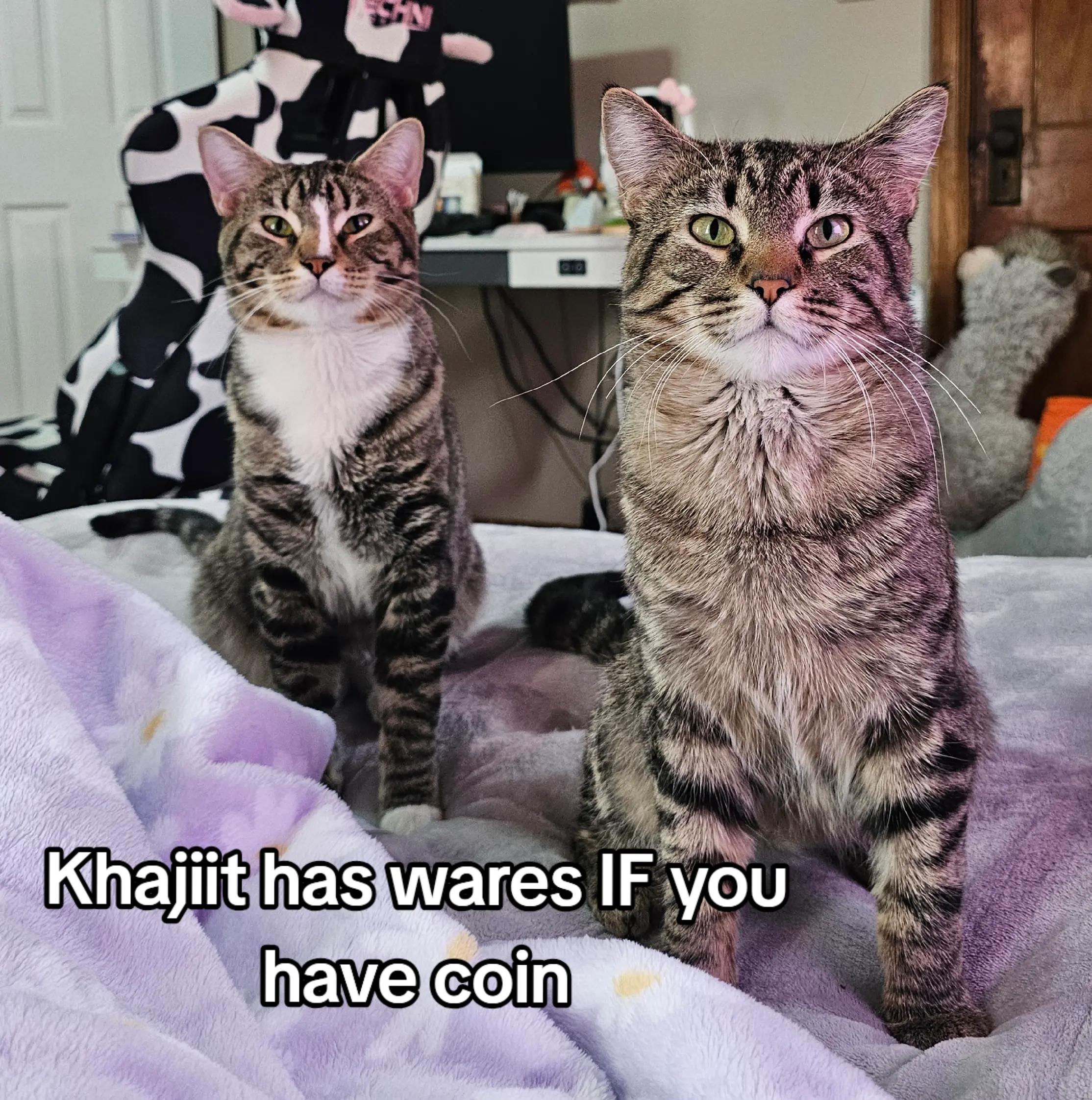 @Pixie✨️