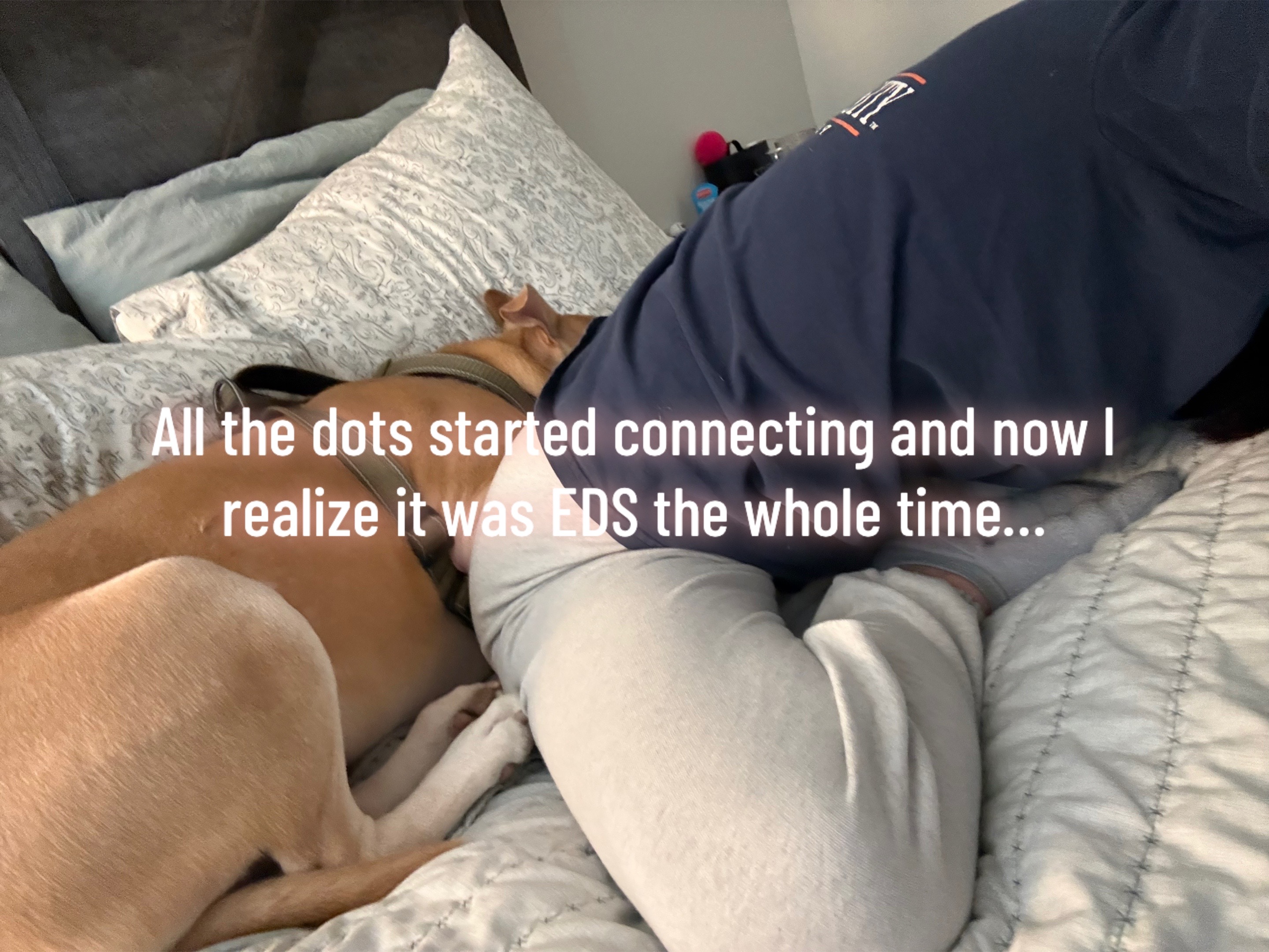 @juliadunn1212