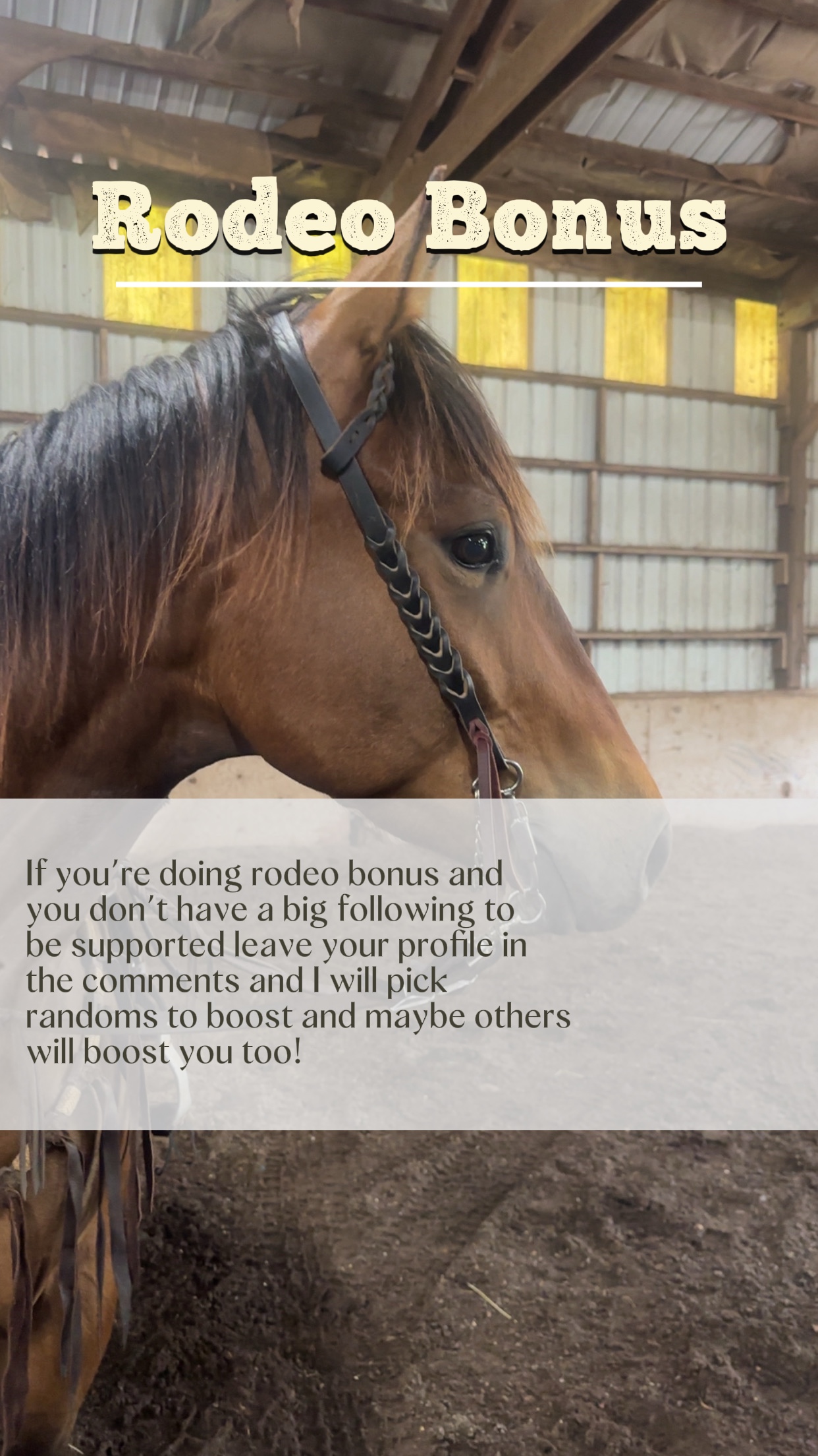 @SAMANTHA | BARREL RACING