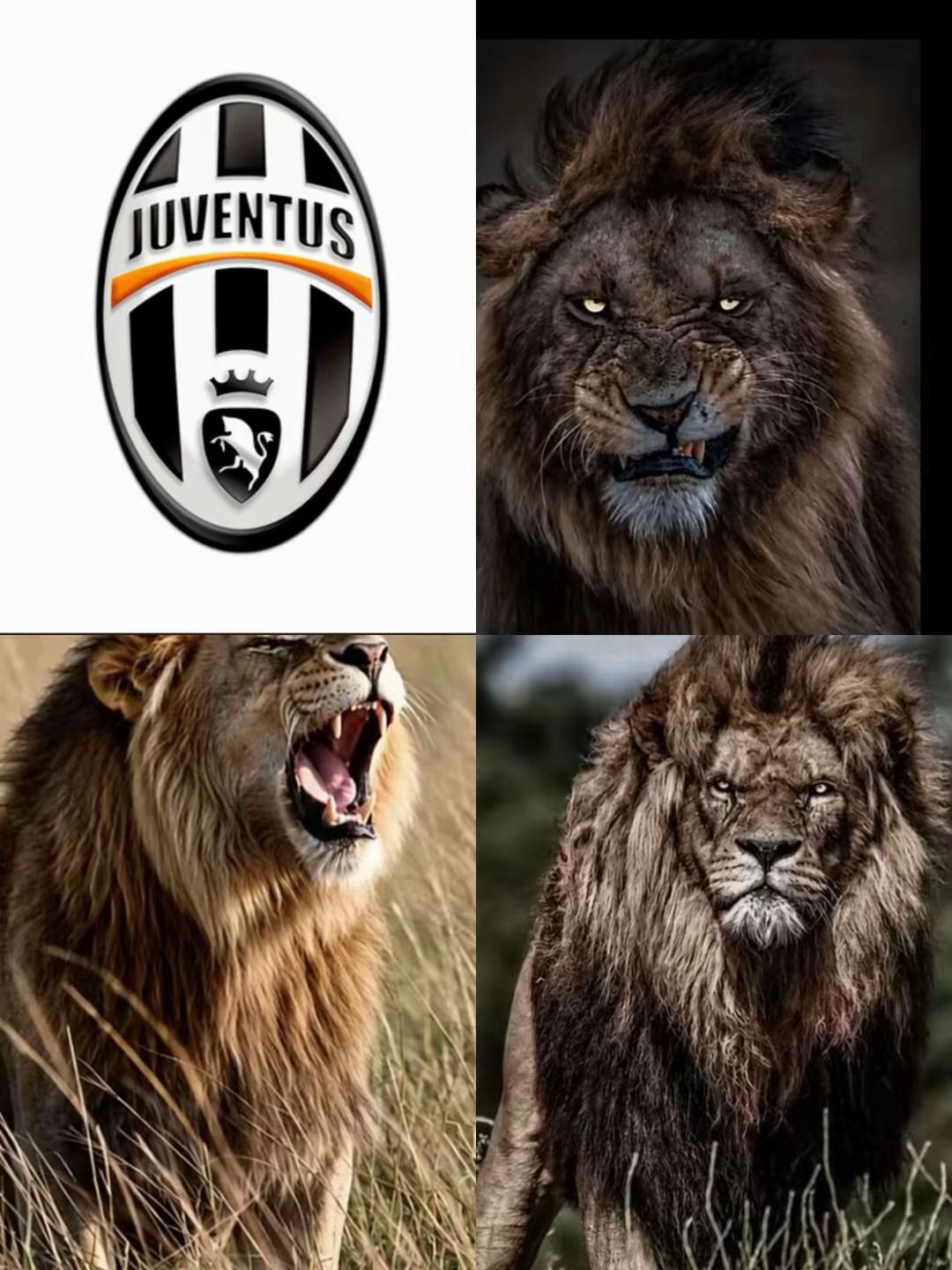 @SangueBianconero🤍🖤