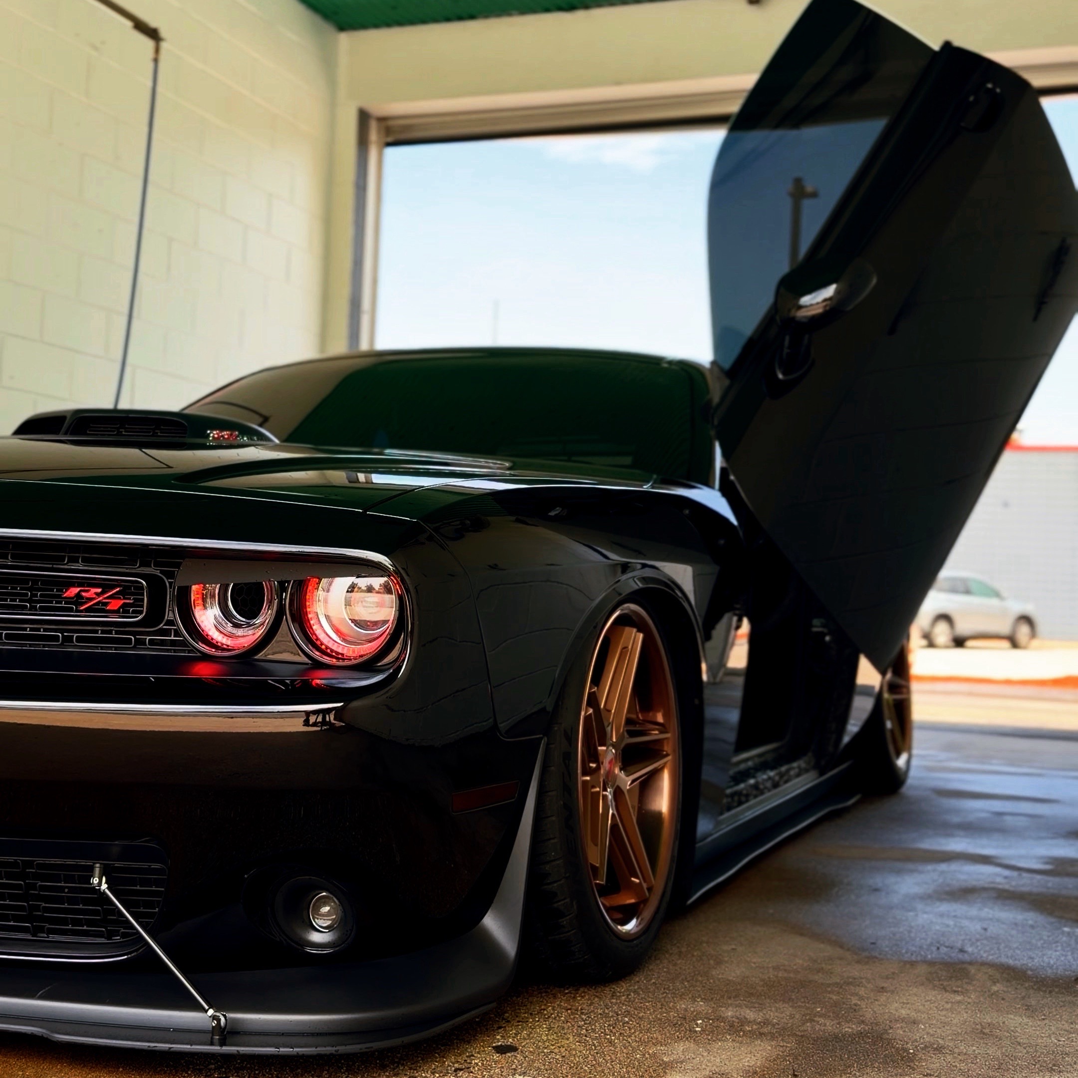 @Scatpack Bee 🐝