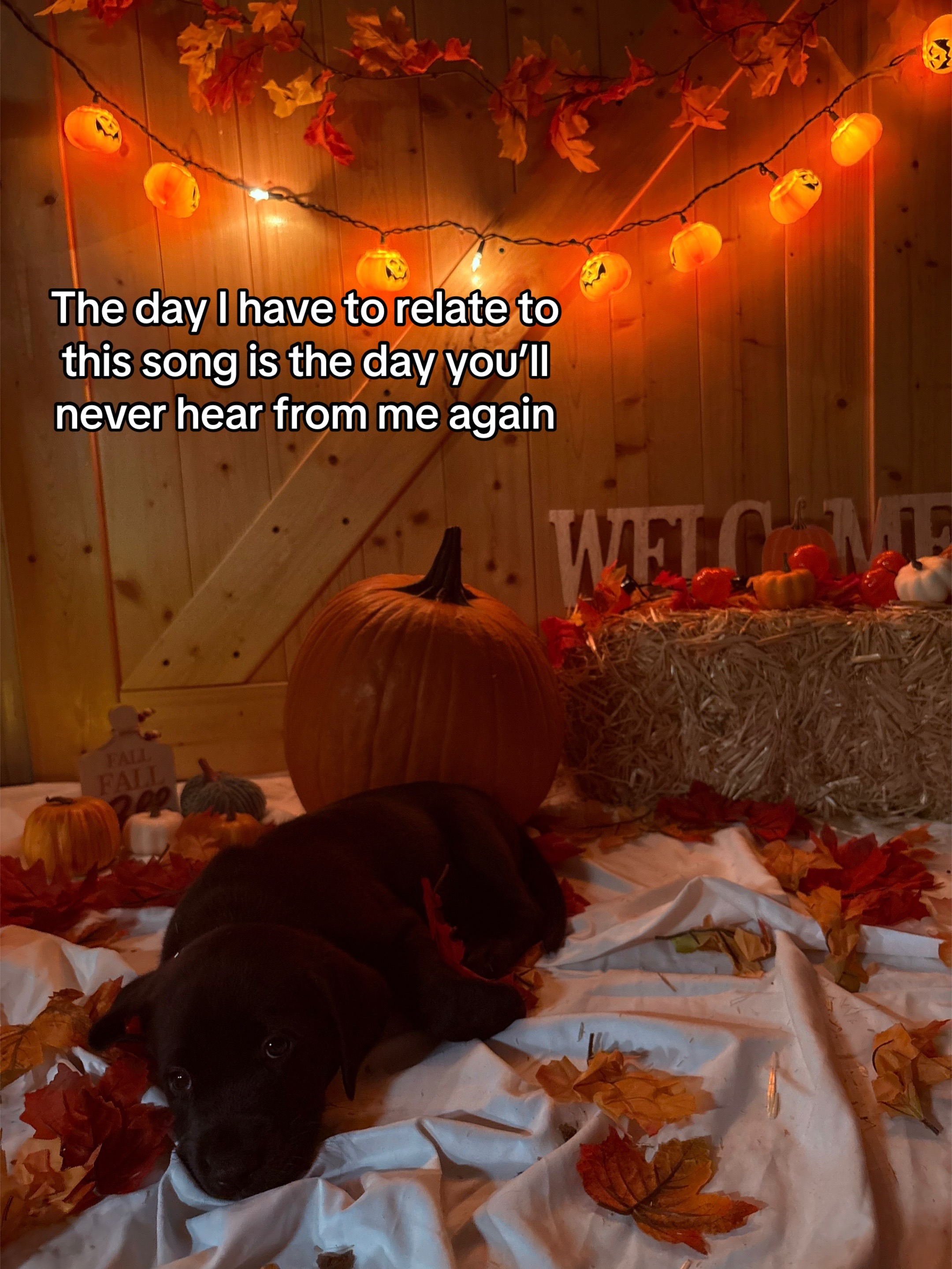 @🍪