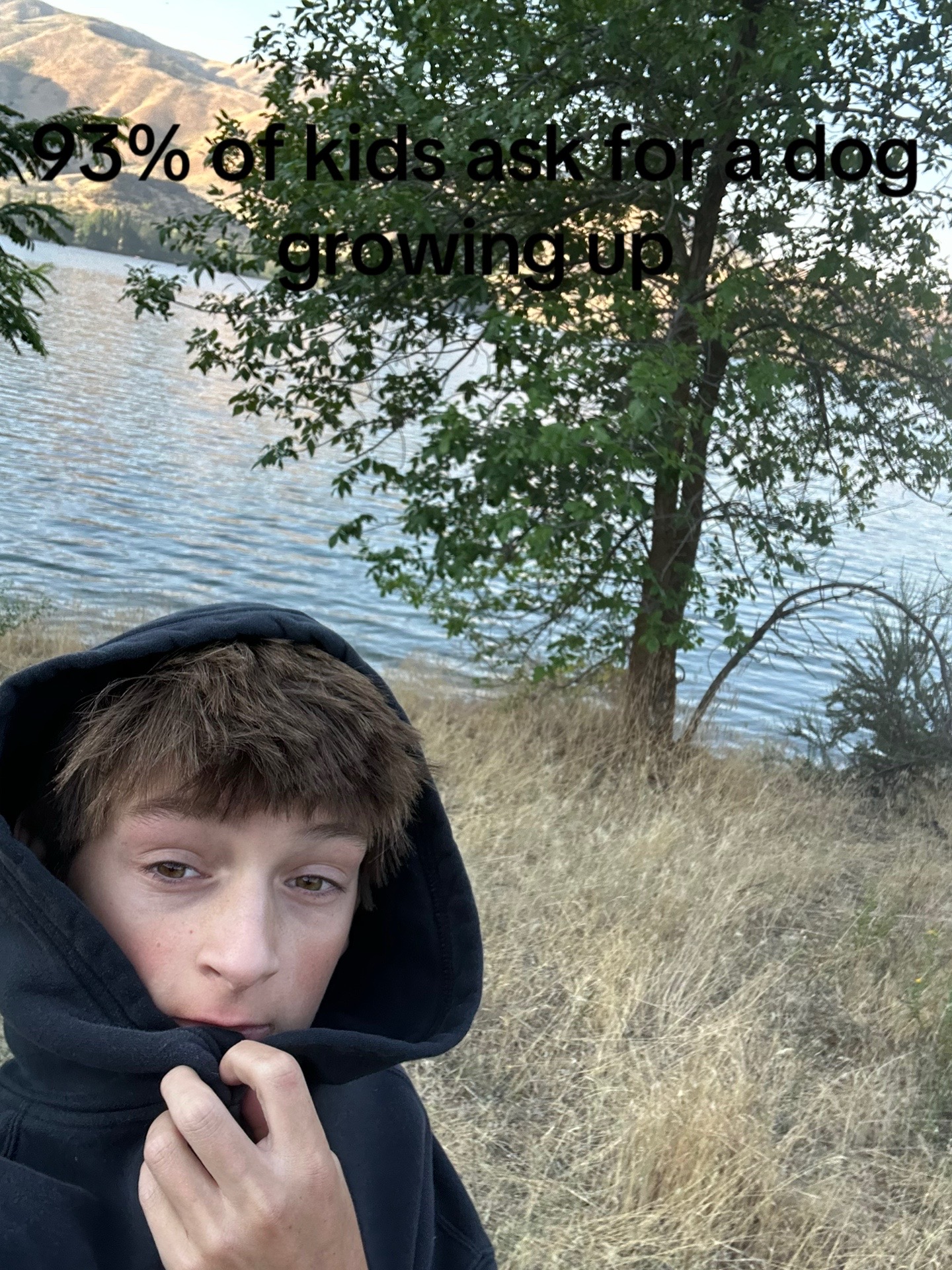 @52v_logan
