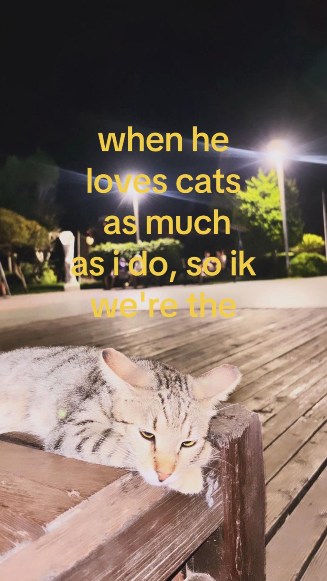 @𑣲𝑛𝑎𝑛𝑎