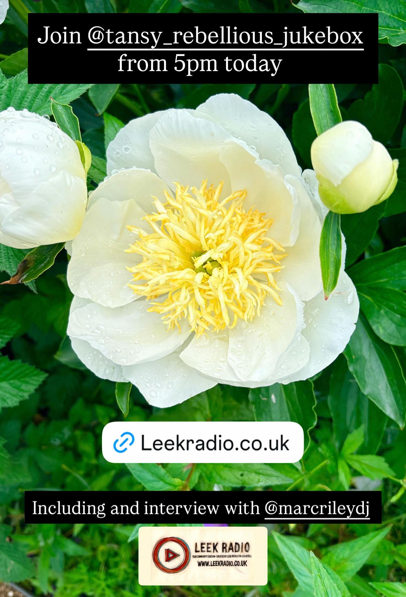 @Leek Radio CIC