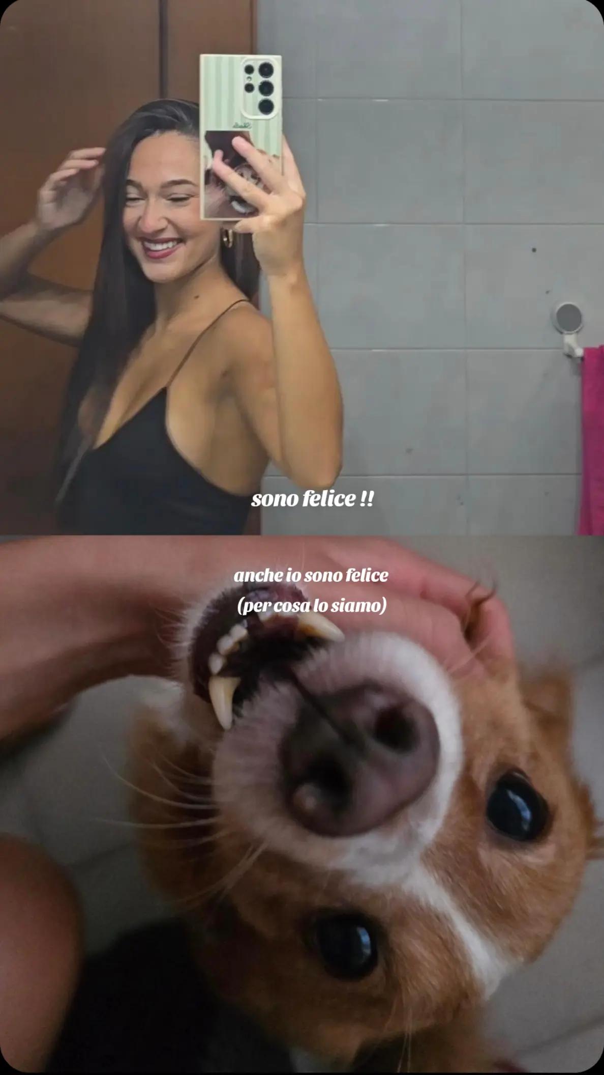 @A L E S S I A