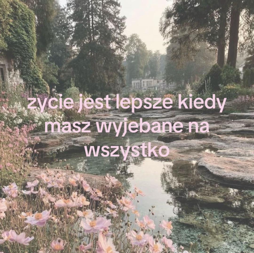 @wera 🪽
