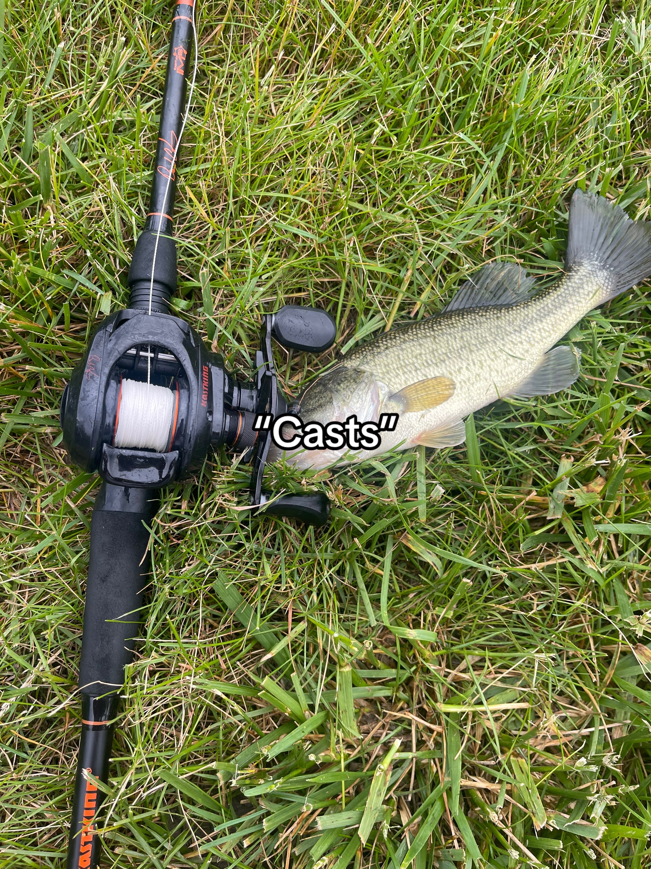 @zay