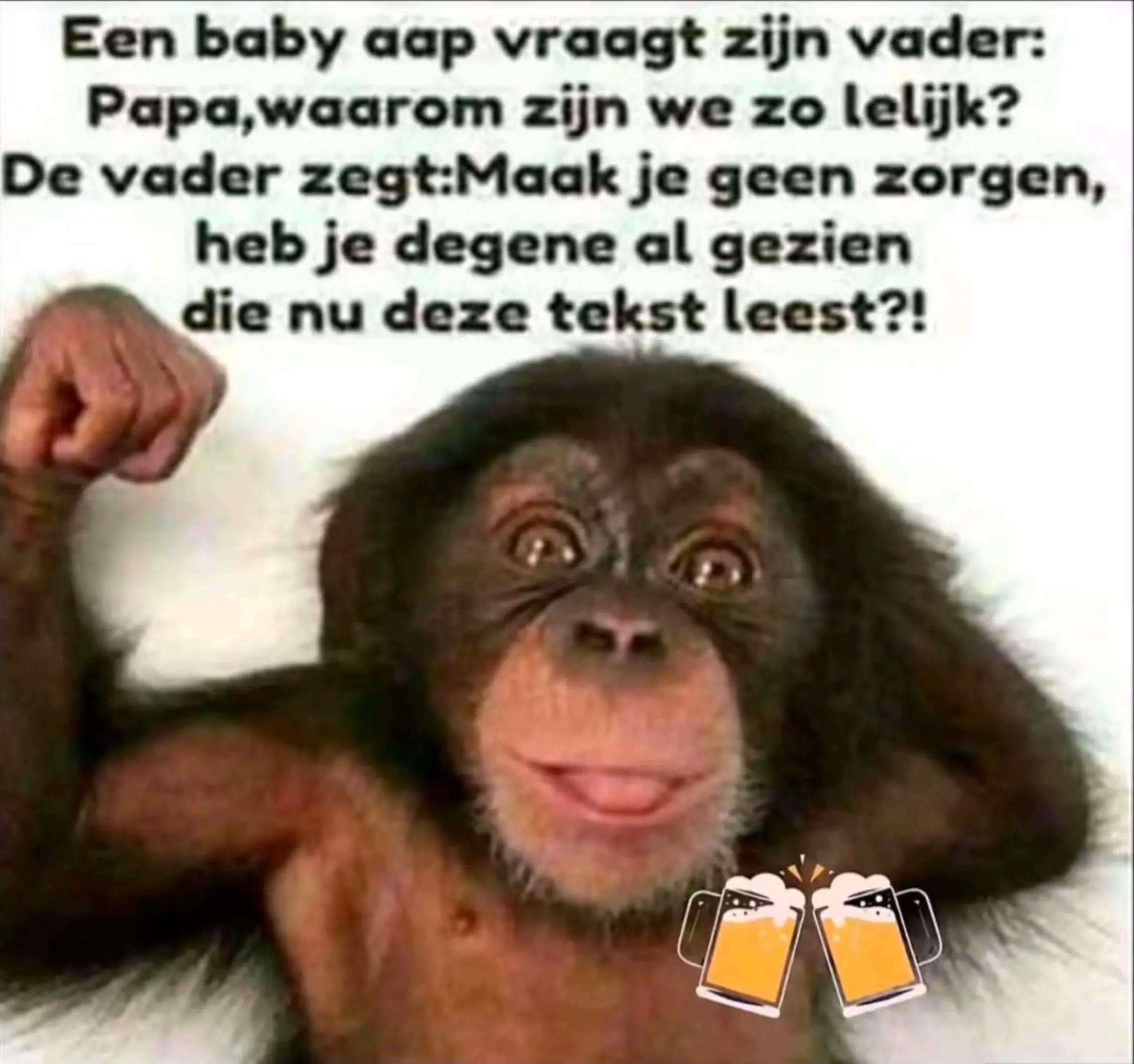 @willem