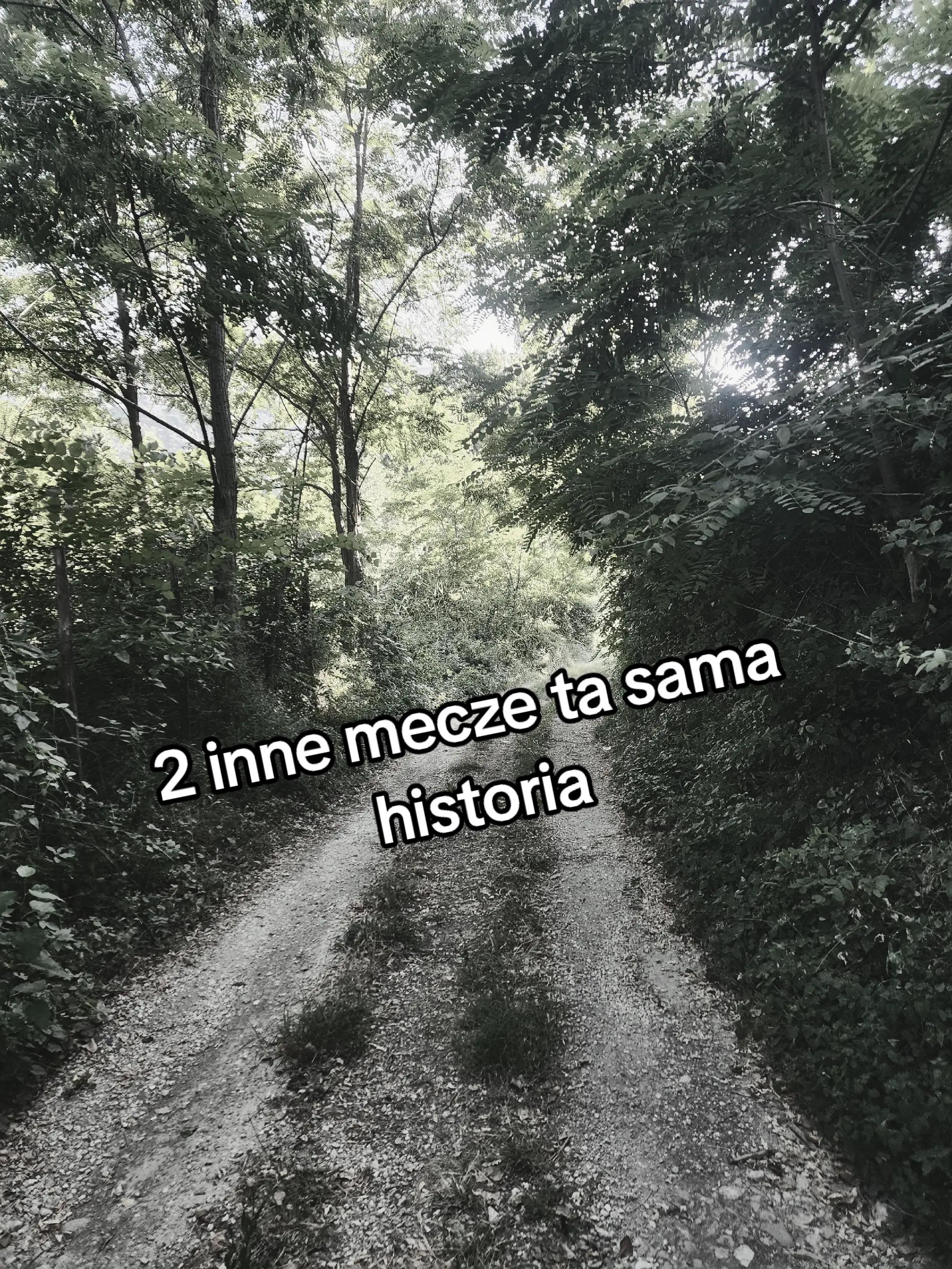 @Torcik