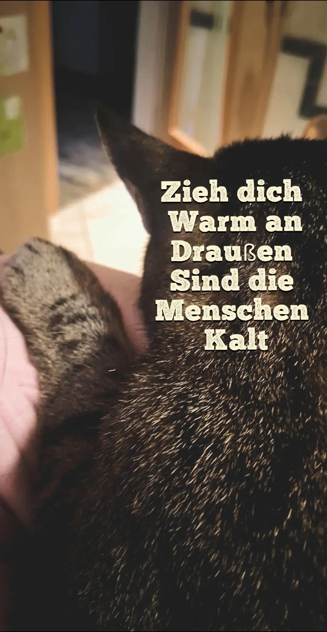 @Anne_bth26🇩🇪🦅